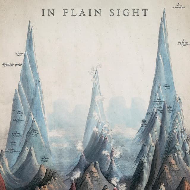 Artwork for In Plain Sight by Sweeps