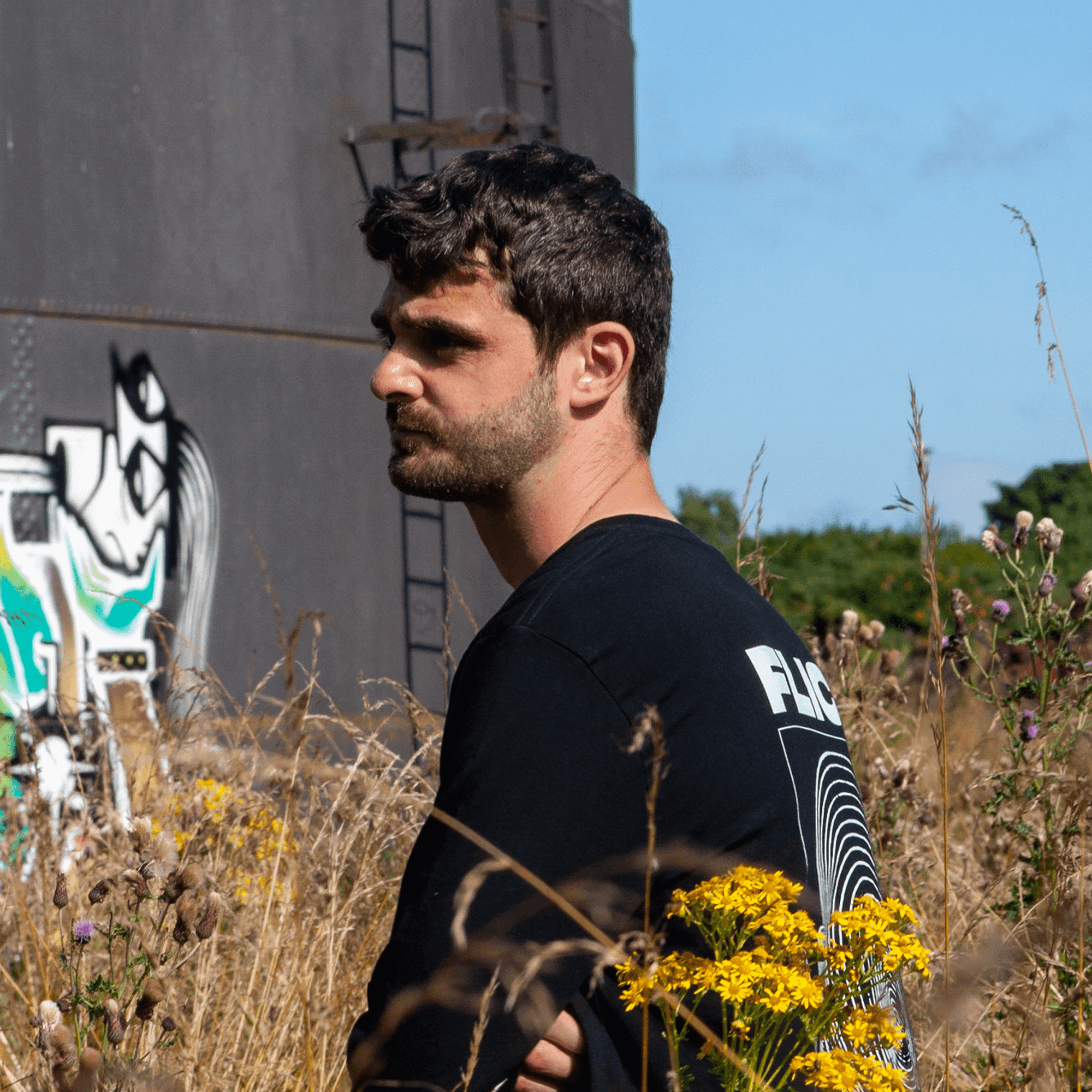 Blurred release artwork background