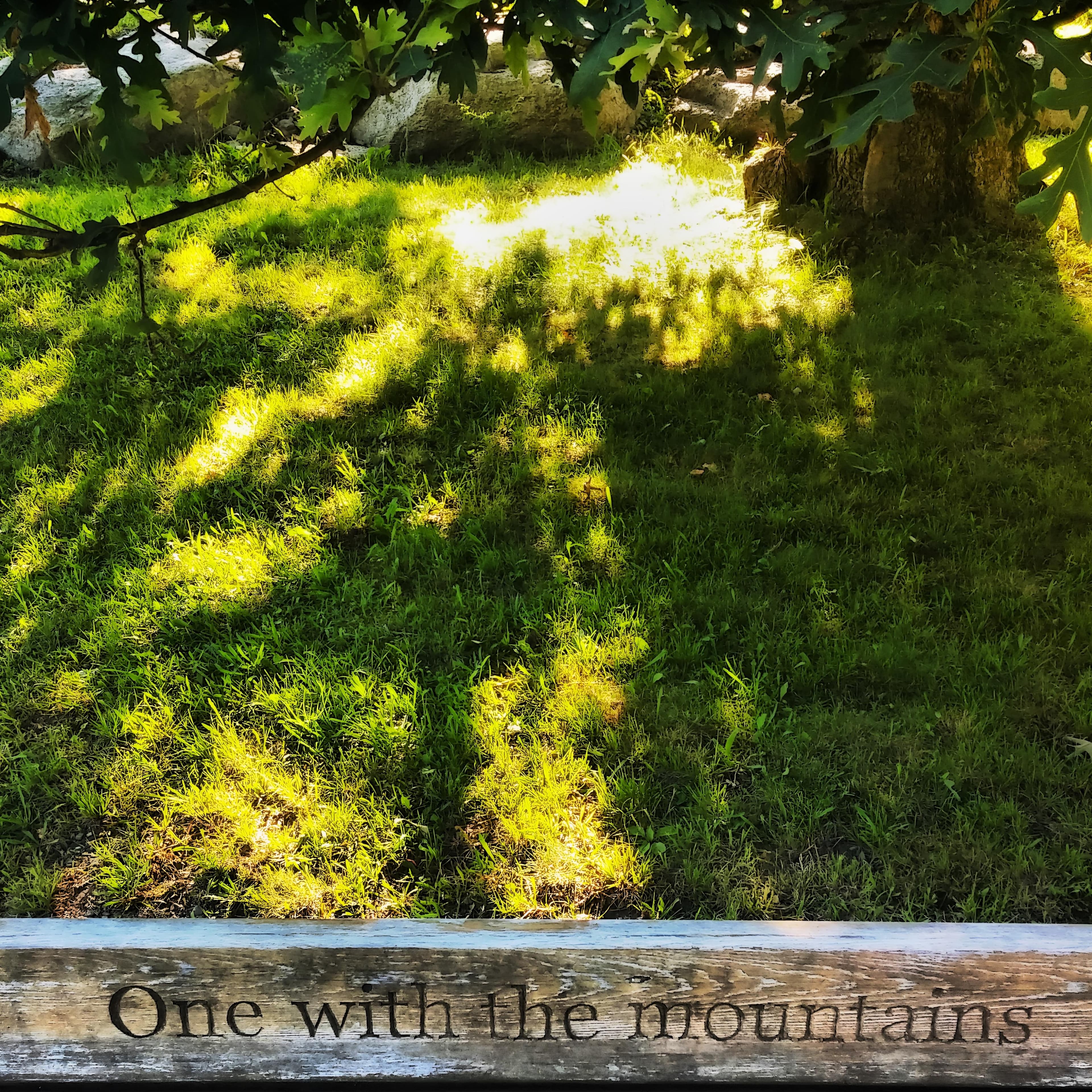 Blurred release artwork background