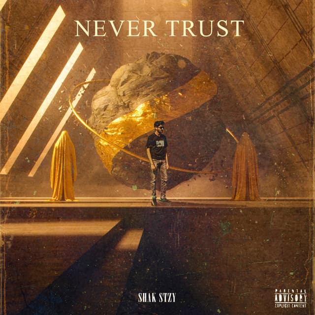 Artwork for Never Trust by Shak