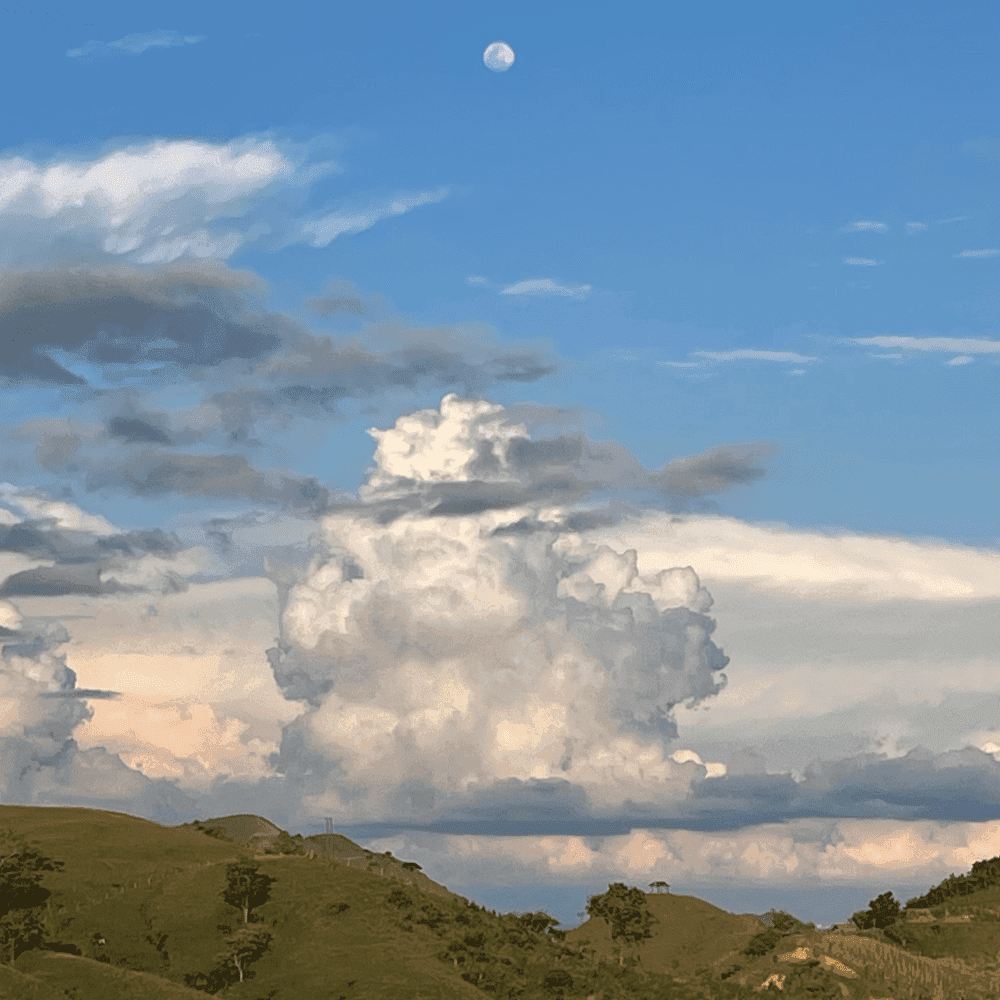 Blurred release artwork background