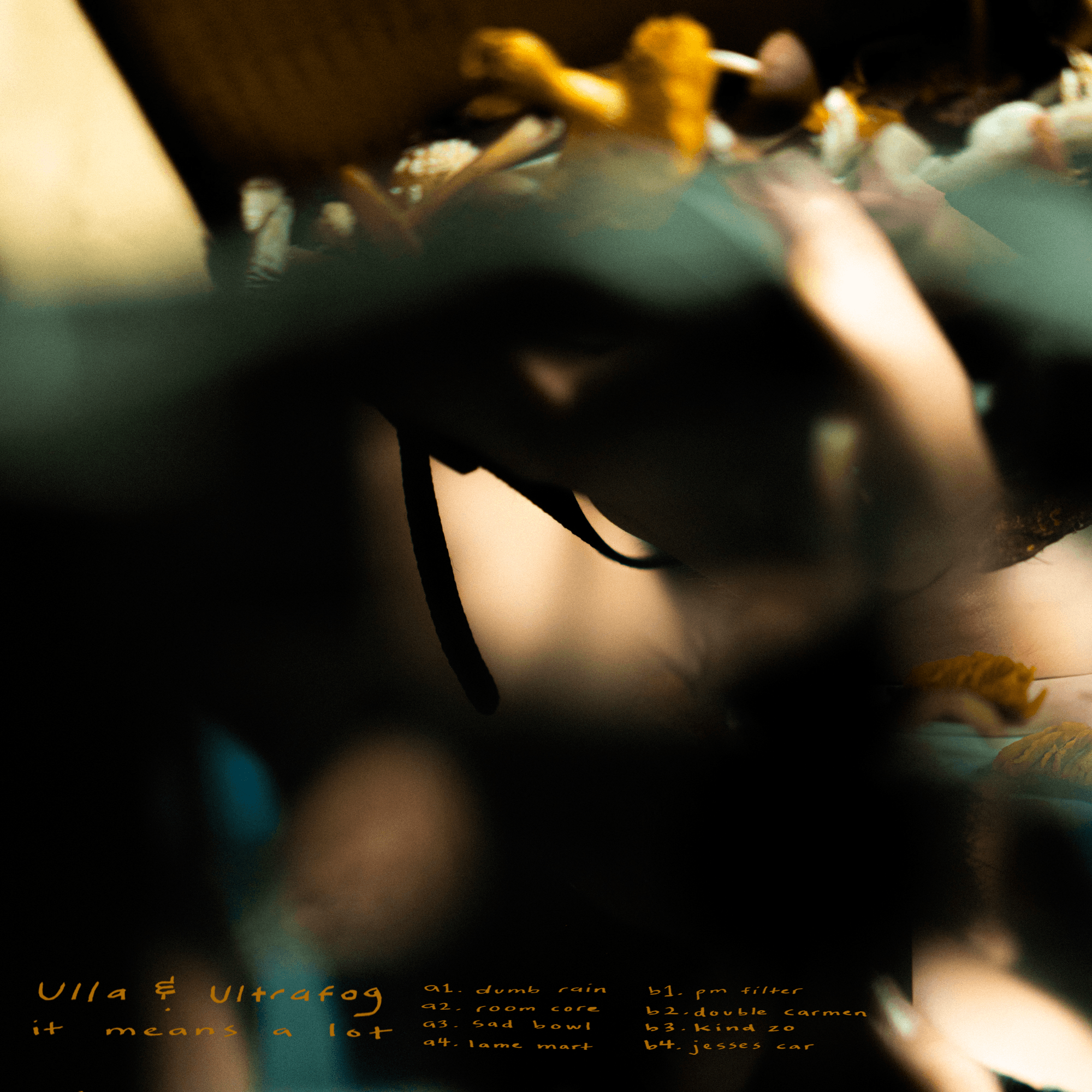 Profile header
