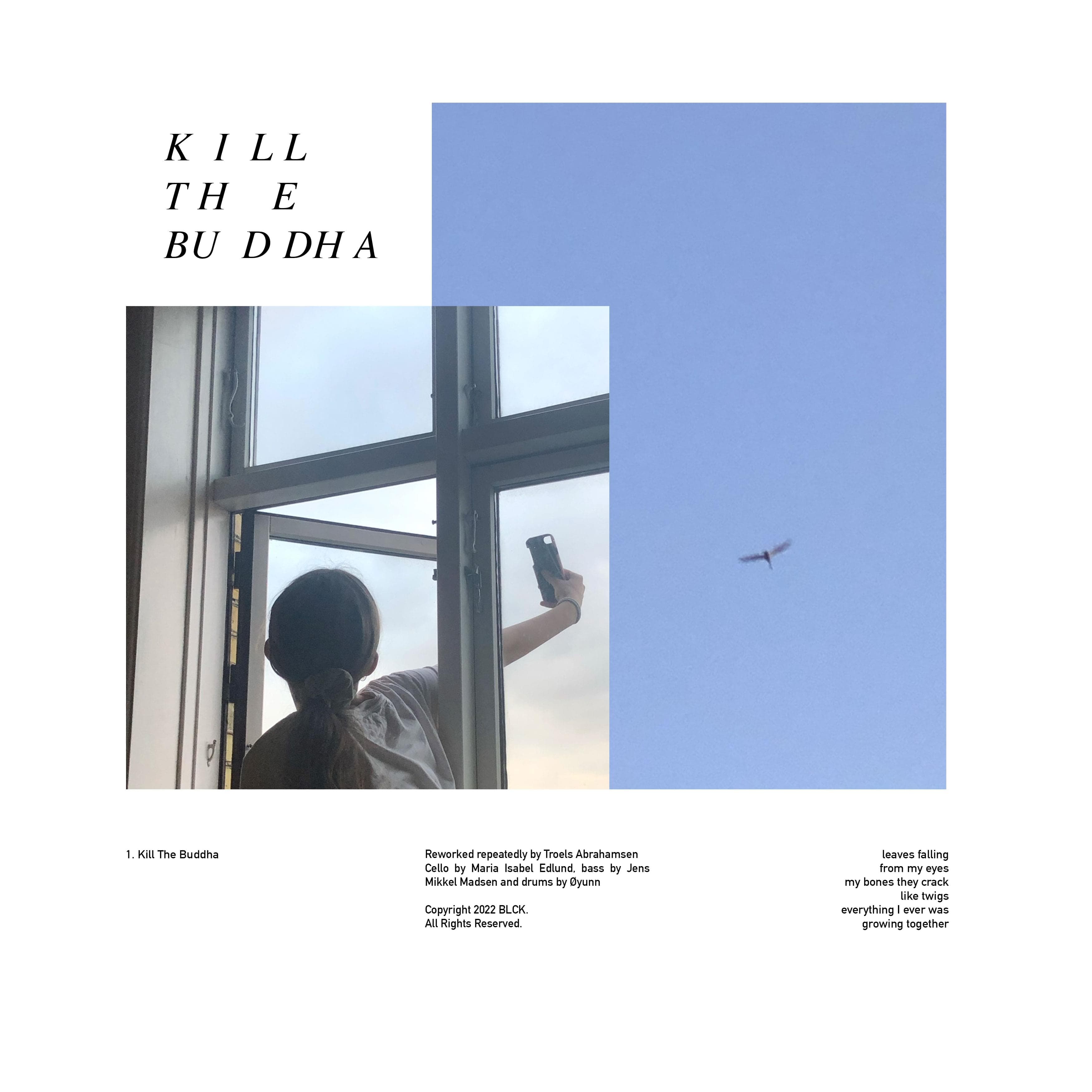 Artwork for Kill The Buddha by Troels Abrahamsen