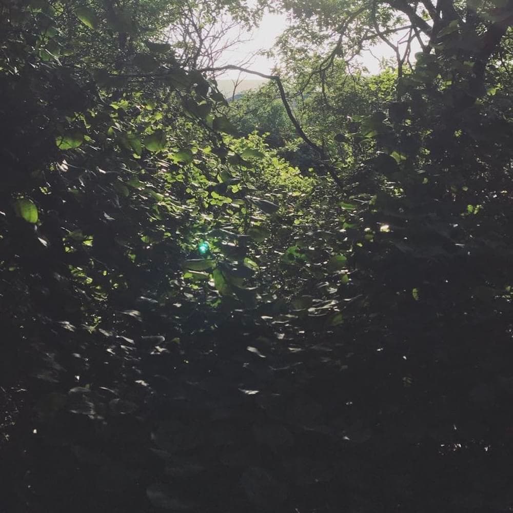 Blurred release artwork background