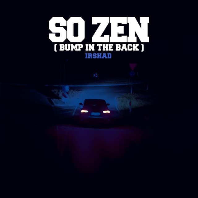 Artwork for So Zen (Bump In The Back) by 1RSH4D