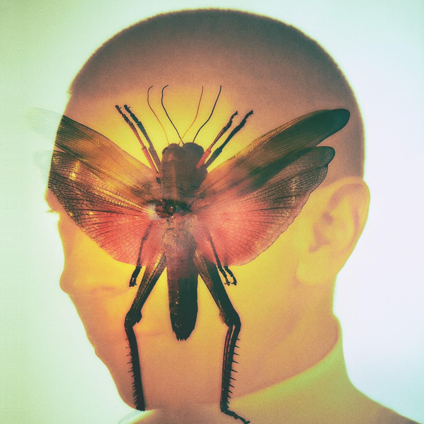 Blurred release artwork background