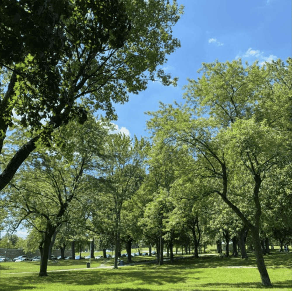 Blurred release artwork background