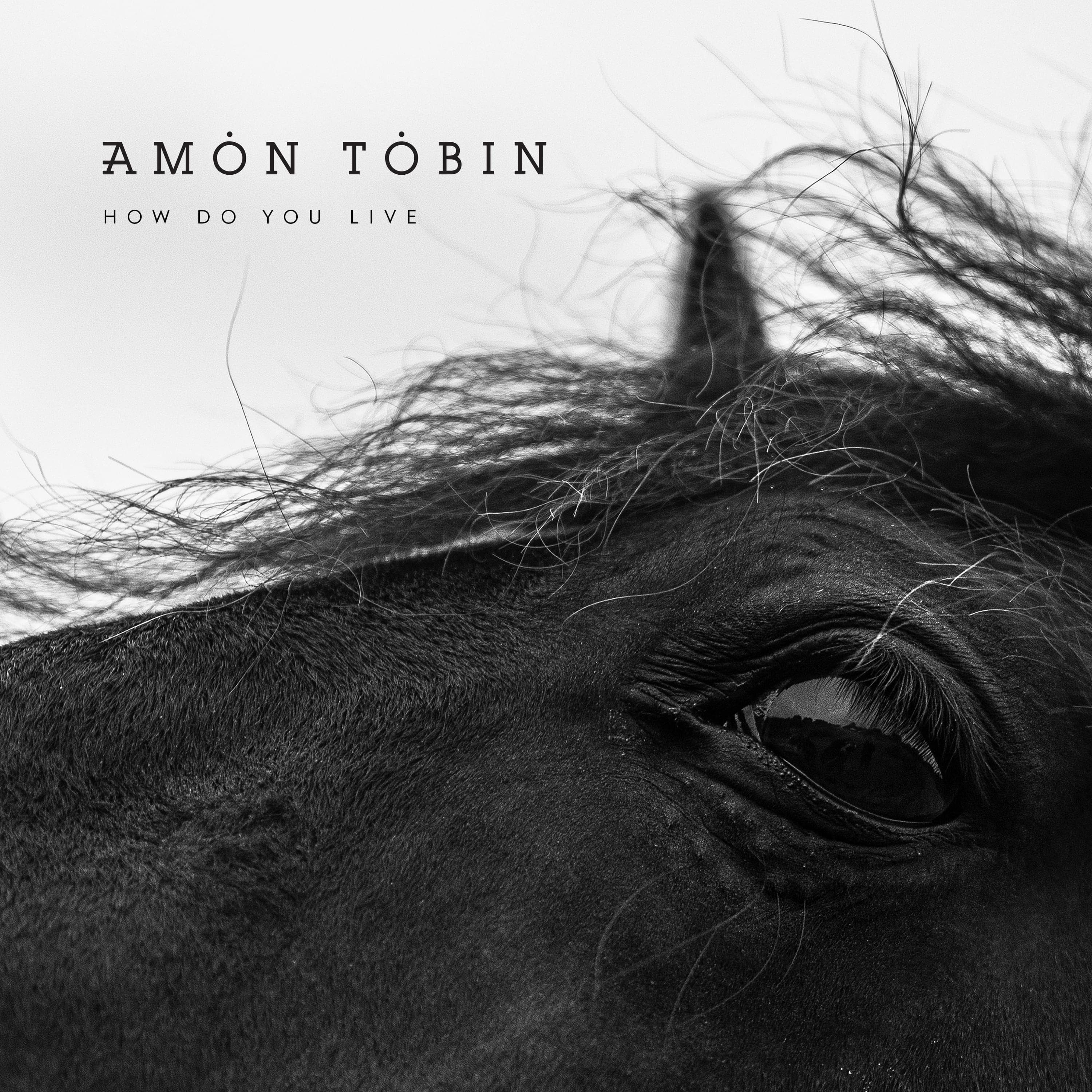 Artwork for All Things Burn by Amon Tobin