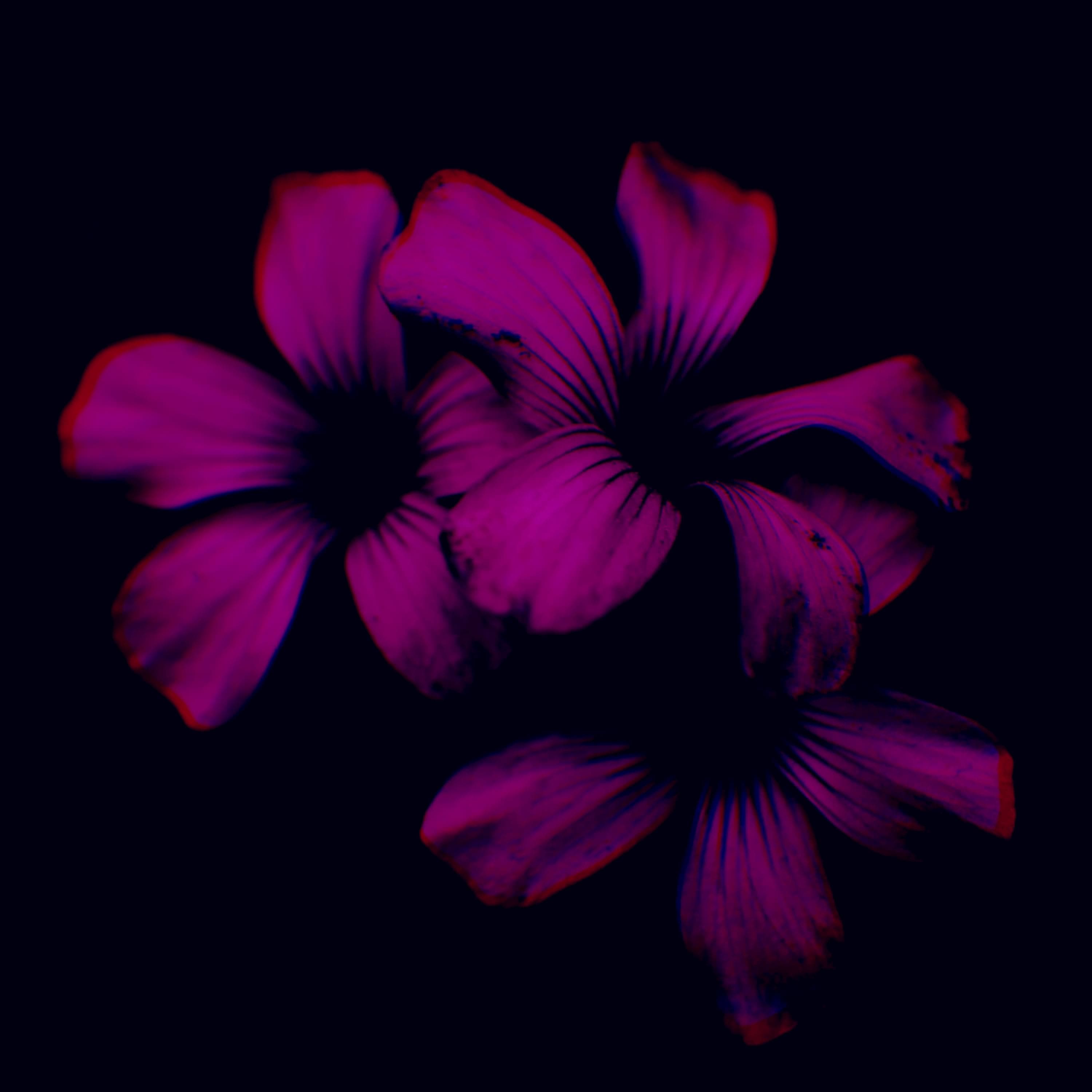 Blurred release artwork background