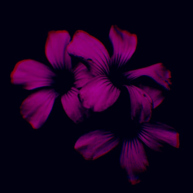 Artwork for like a glove by Yung.Raj