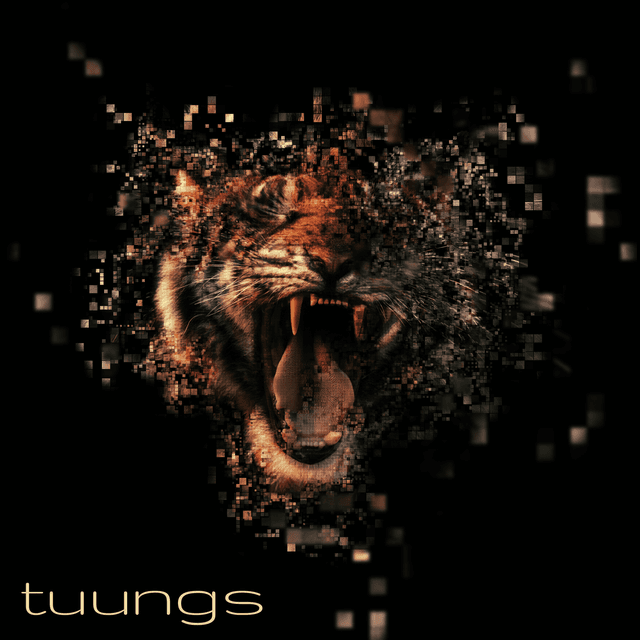 Artwork for tuungs by The Balance King