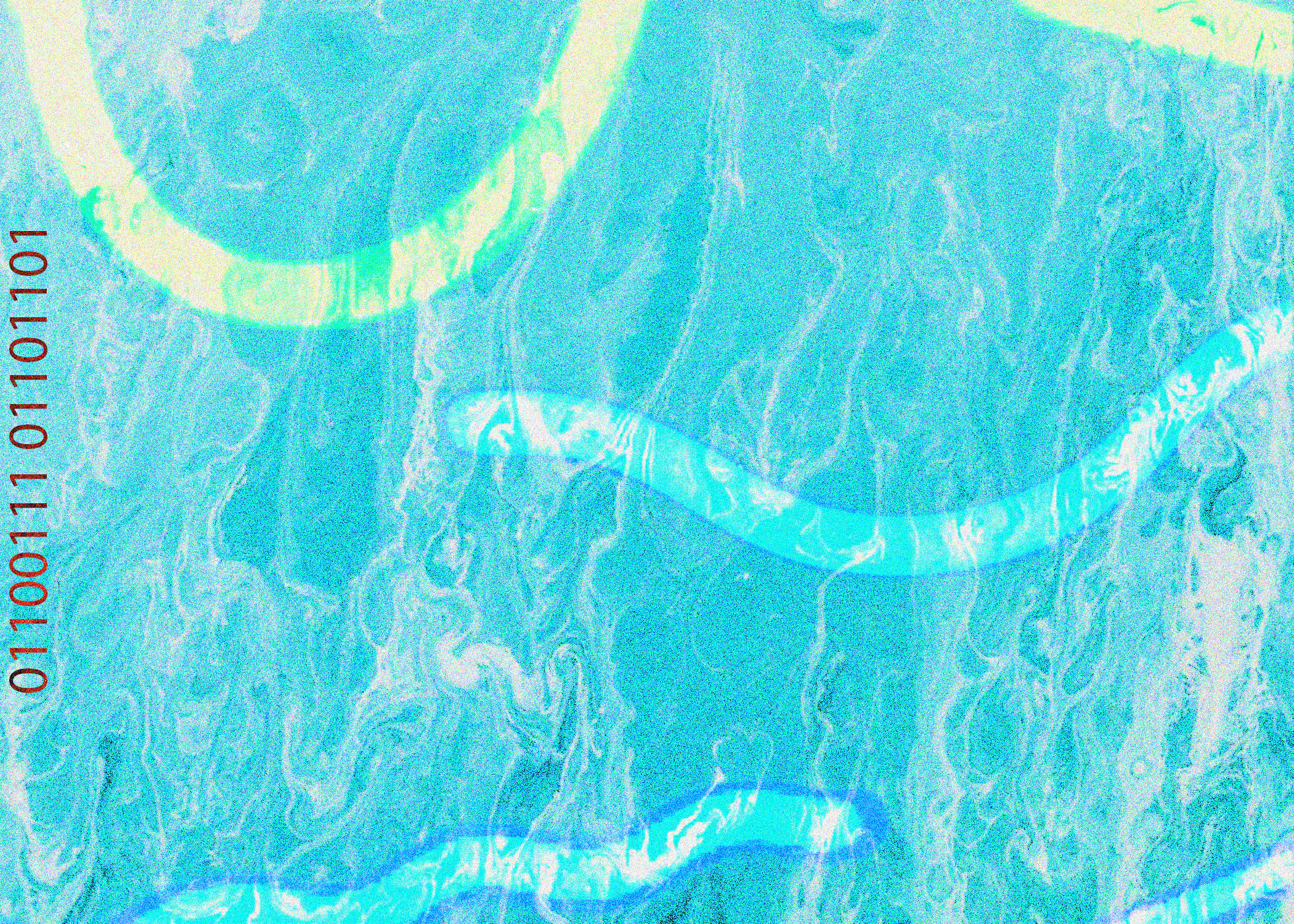 Blurred release artwork background