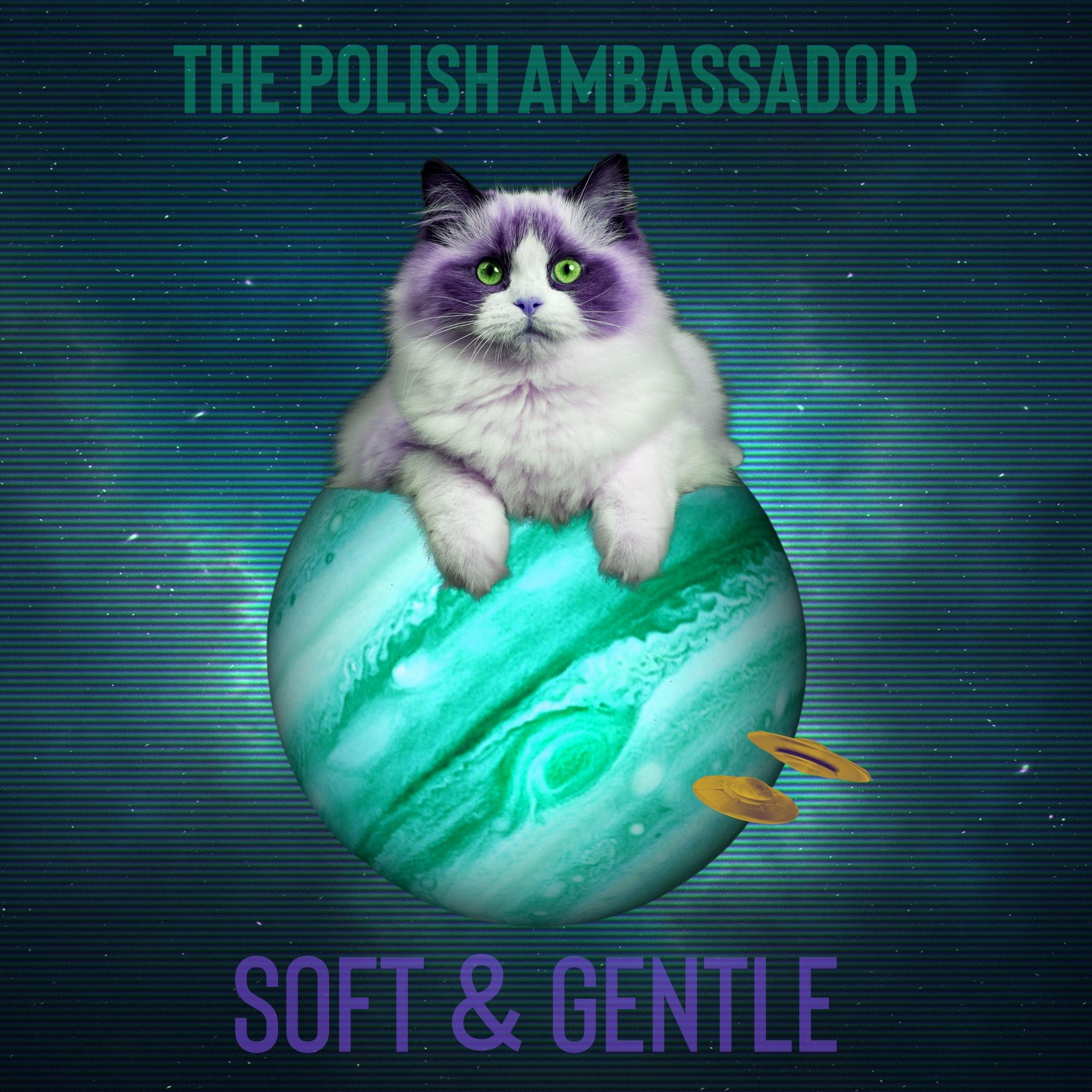 Artwork for Soft & Gentle by The Polish Ambassador