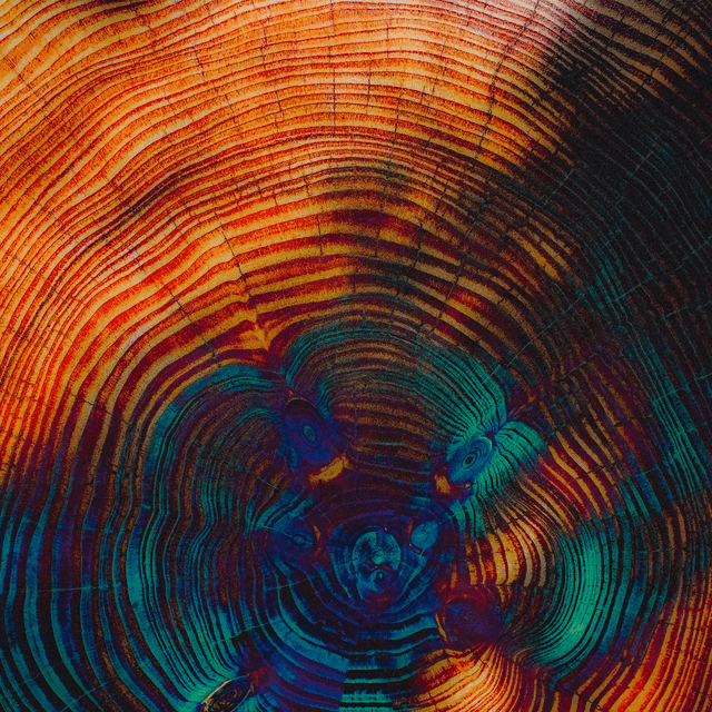 Artwork for forest element by slenderbodies