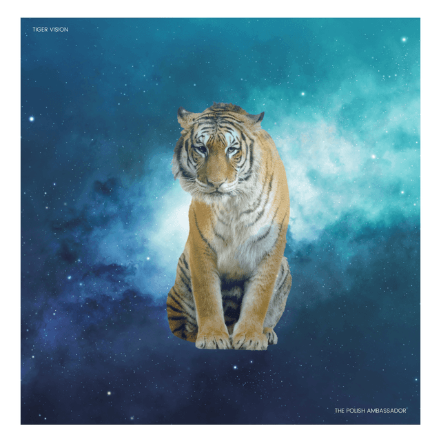 Artwork for Tiger Vision by The Polish Ambassador