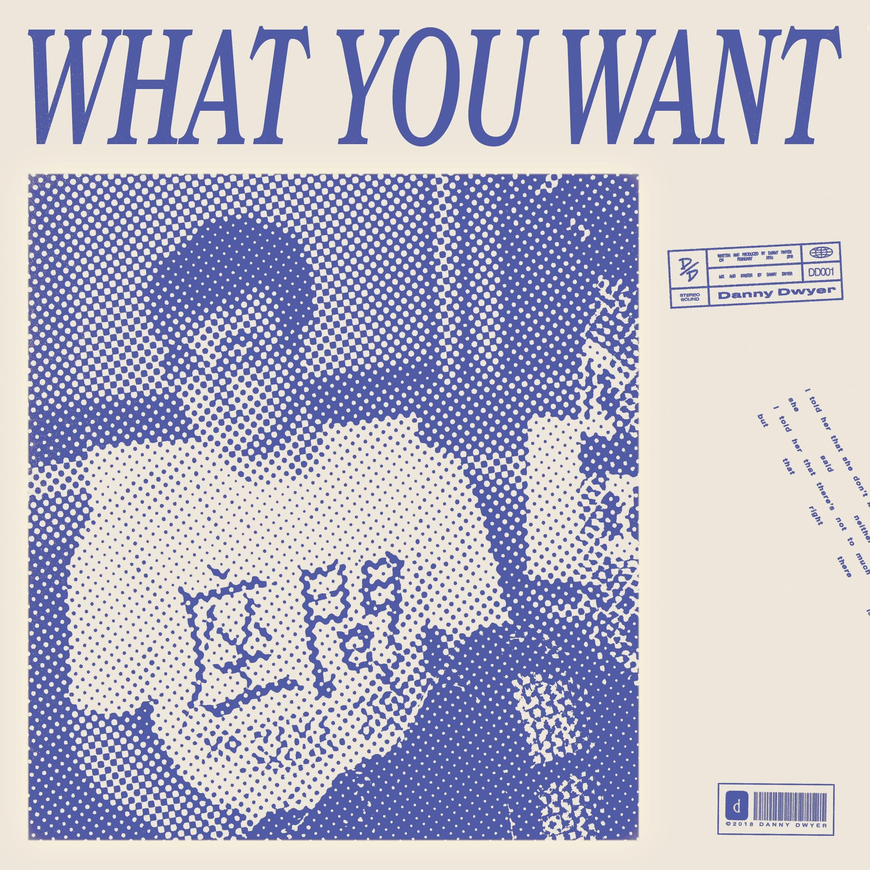 Artwork for What You Want by Danny Dwyer