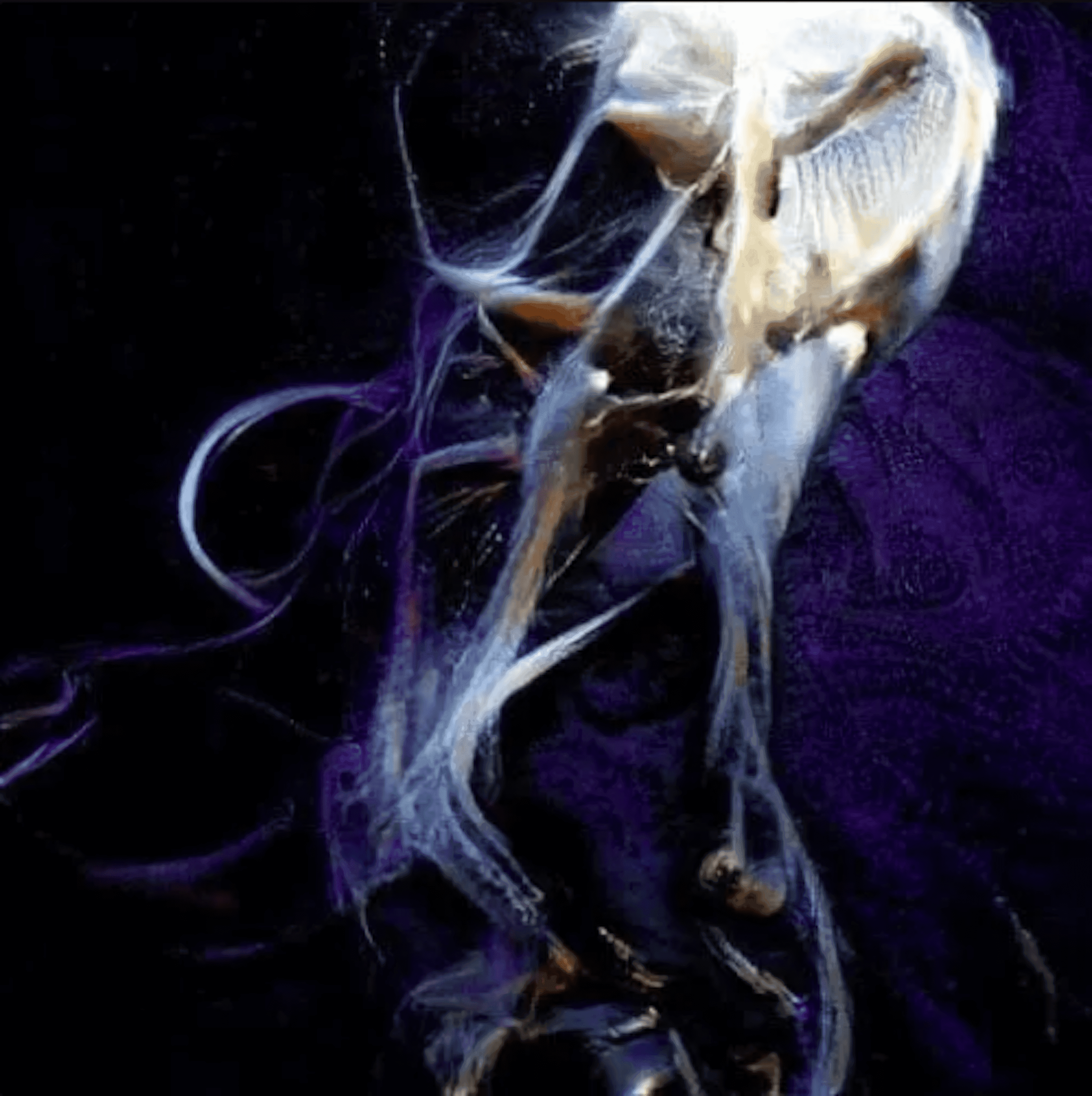 Blurred release artwork background