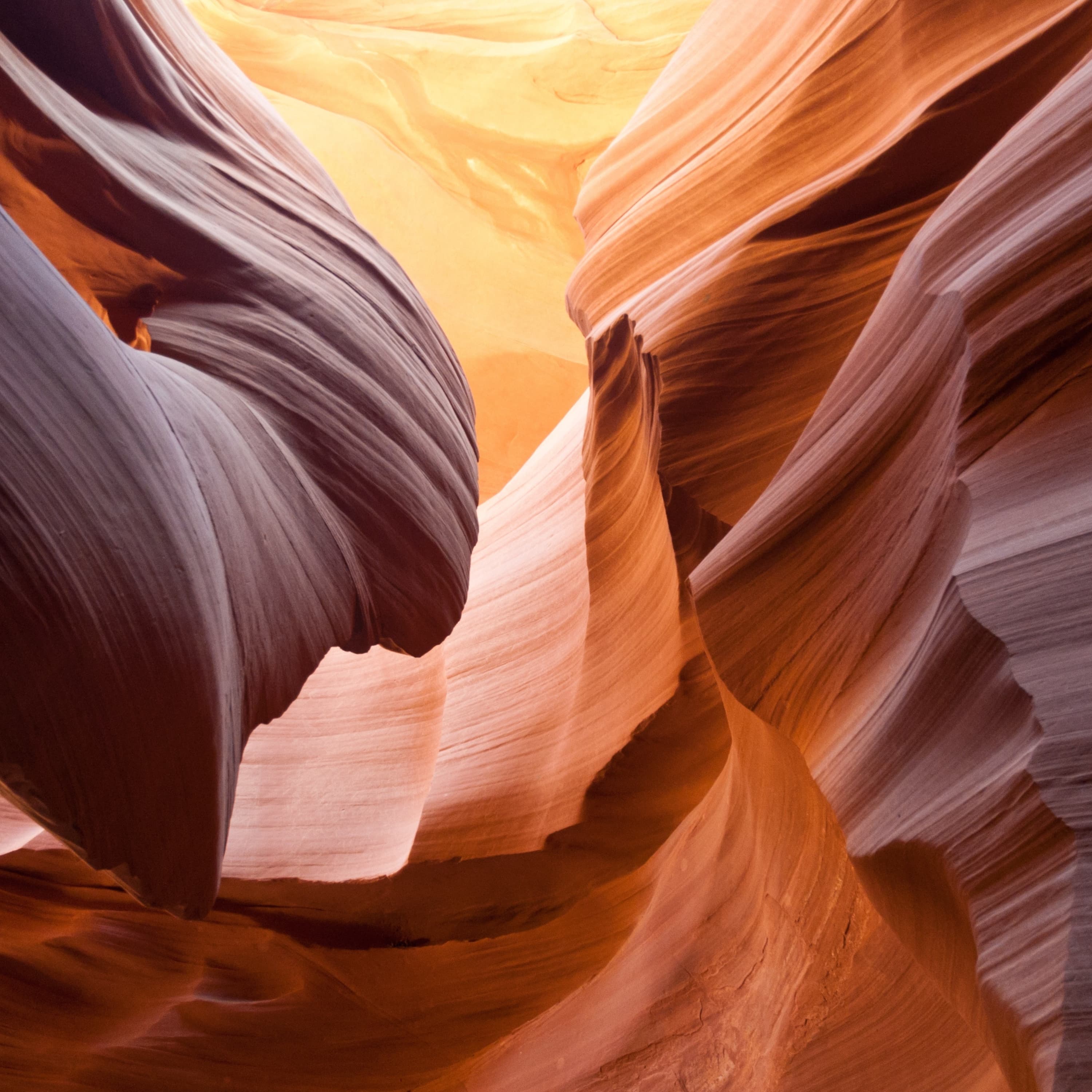 Blurred release artwork background