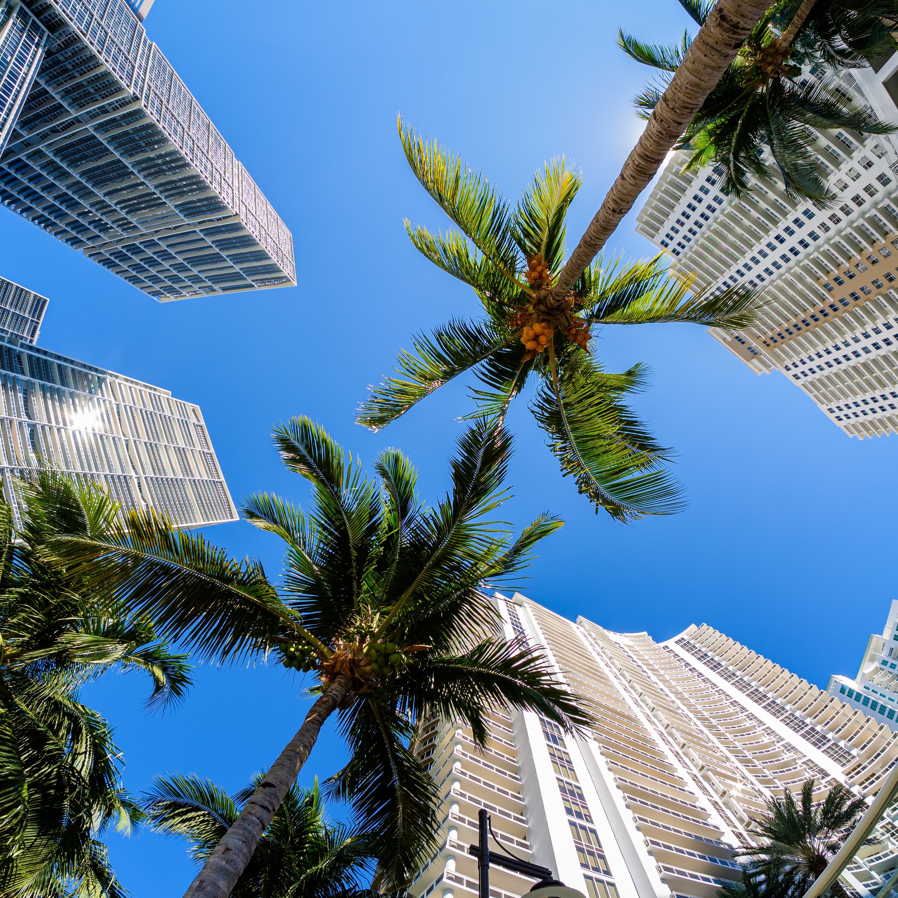 Blurred release artwork background