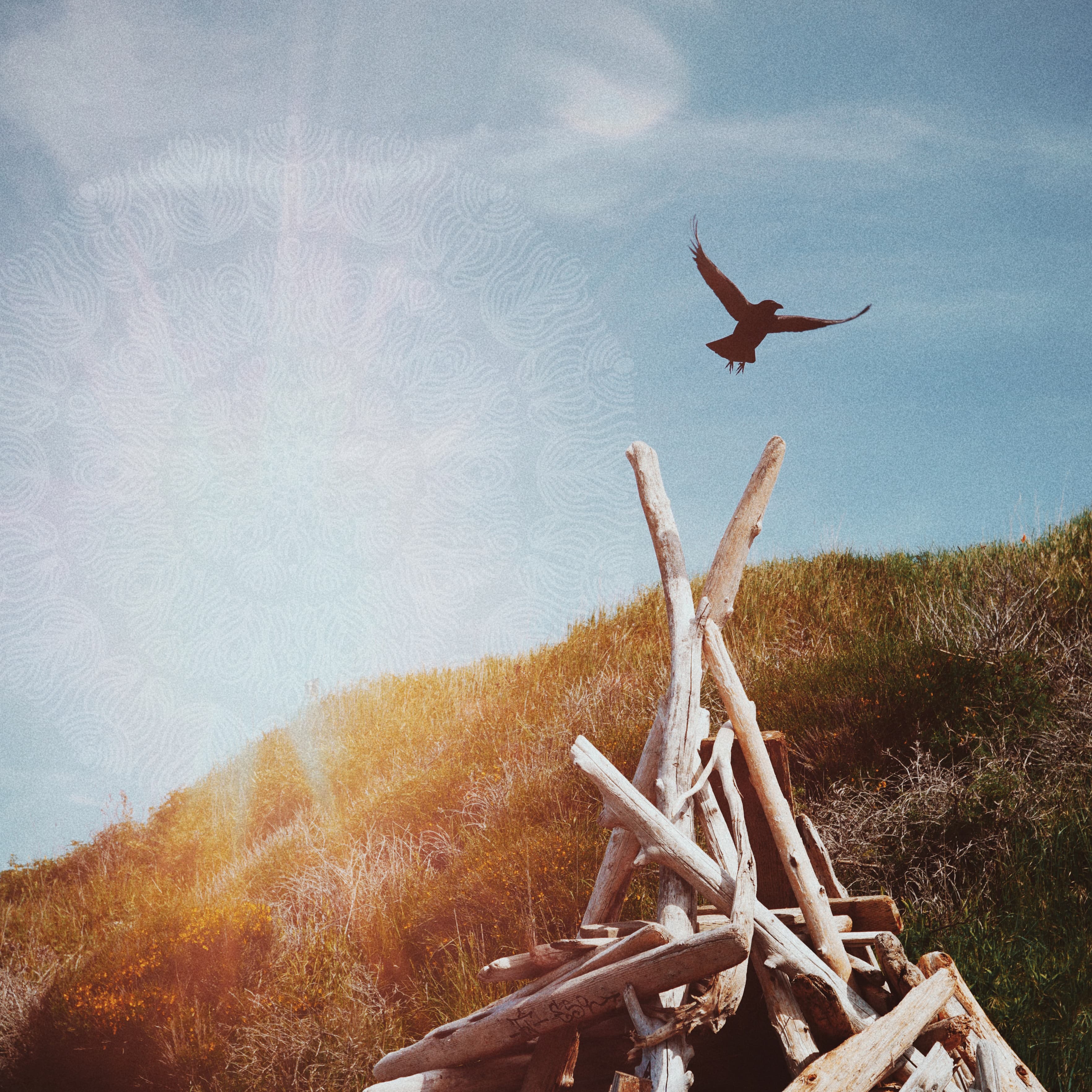 Blurred release artwork background