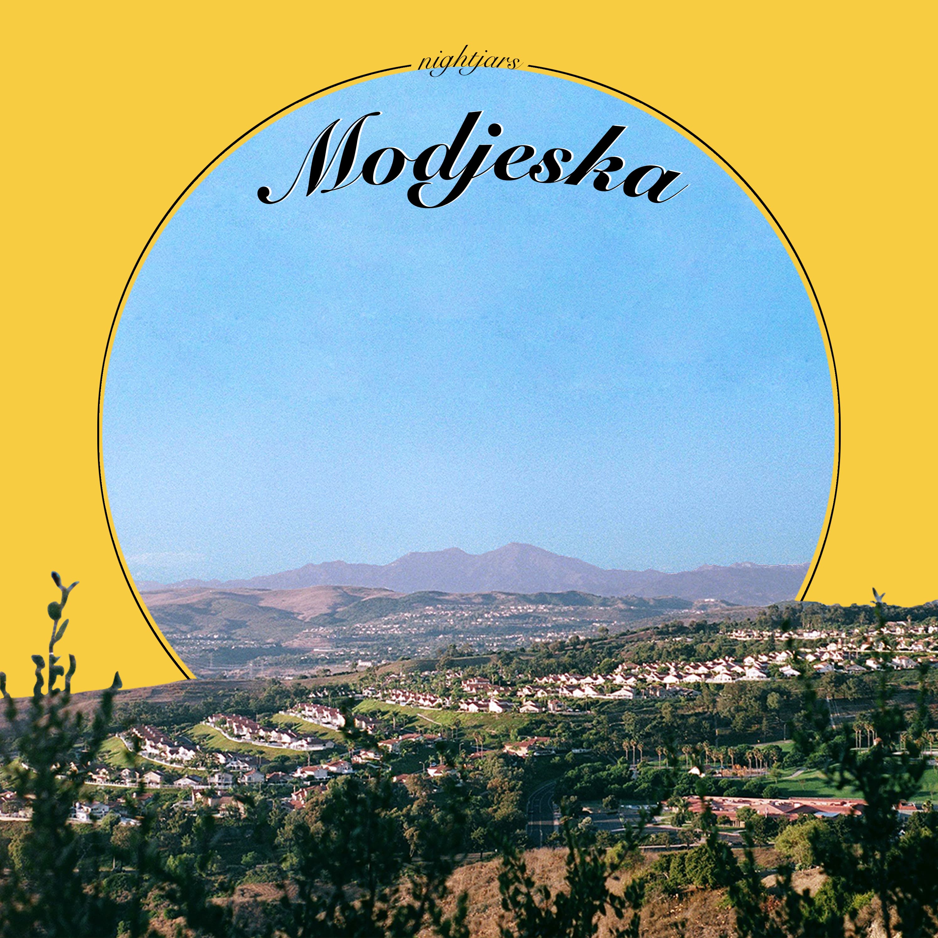 Blurred release artwork background