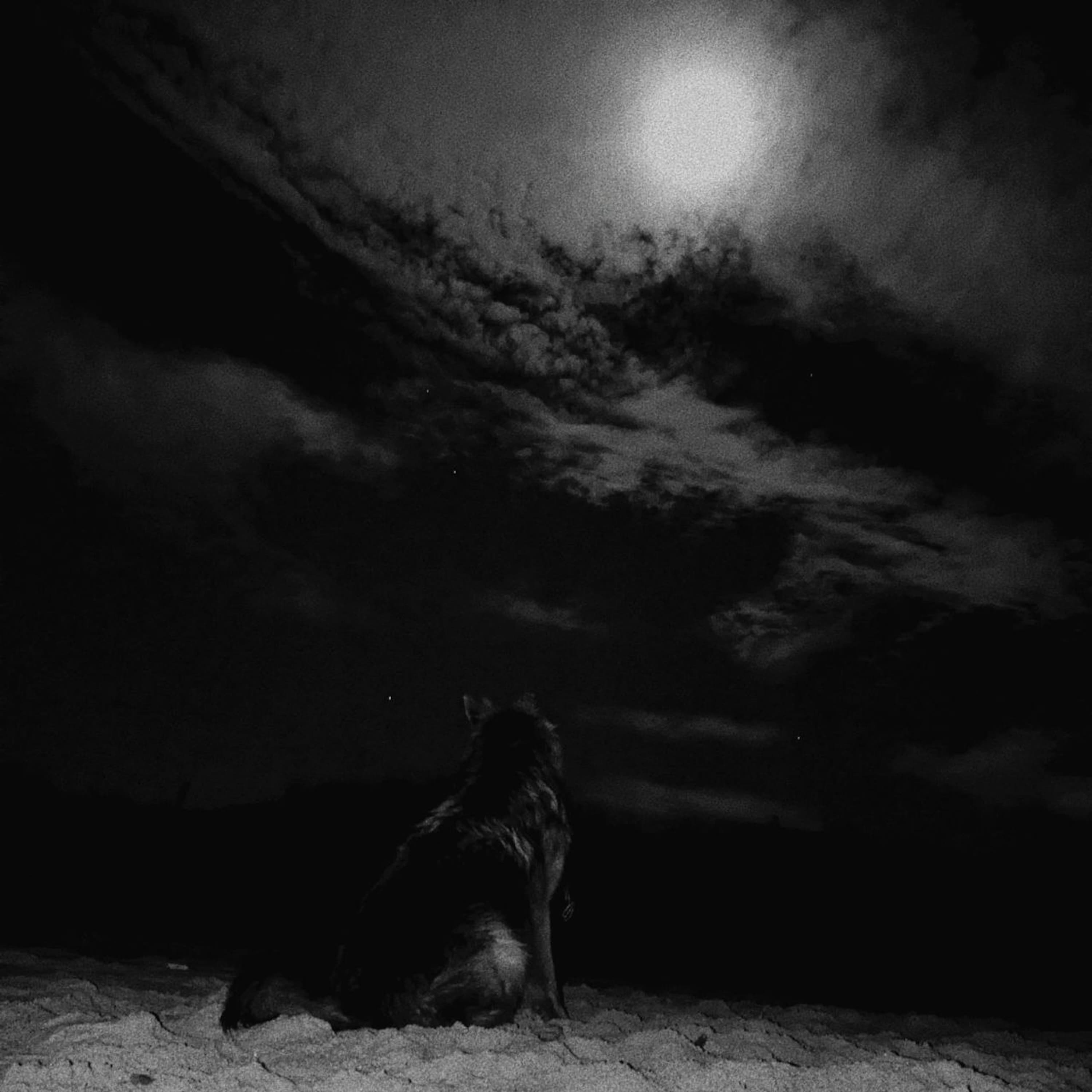 Blurred release artwork background