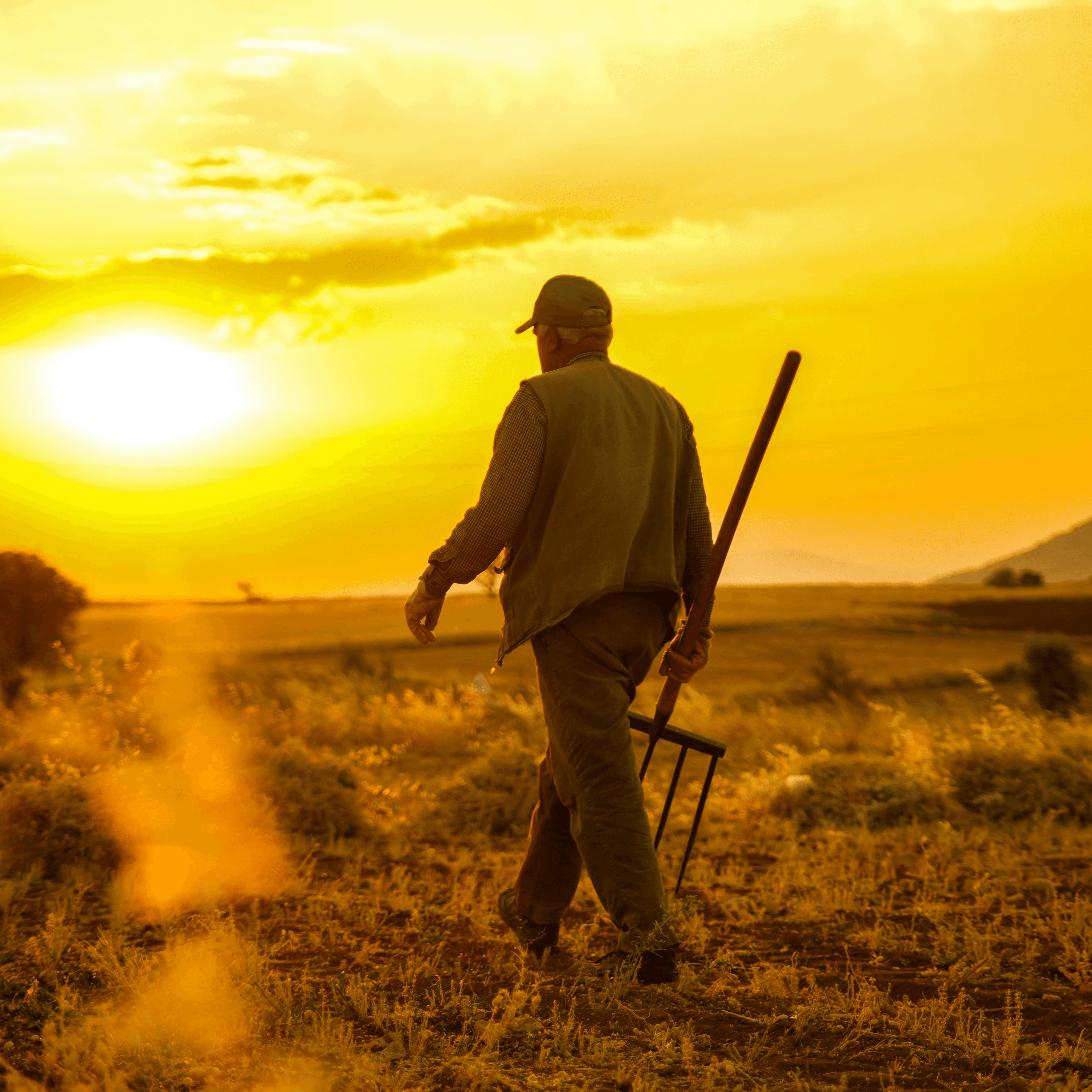 Blurred release artwork background