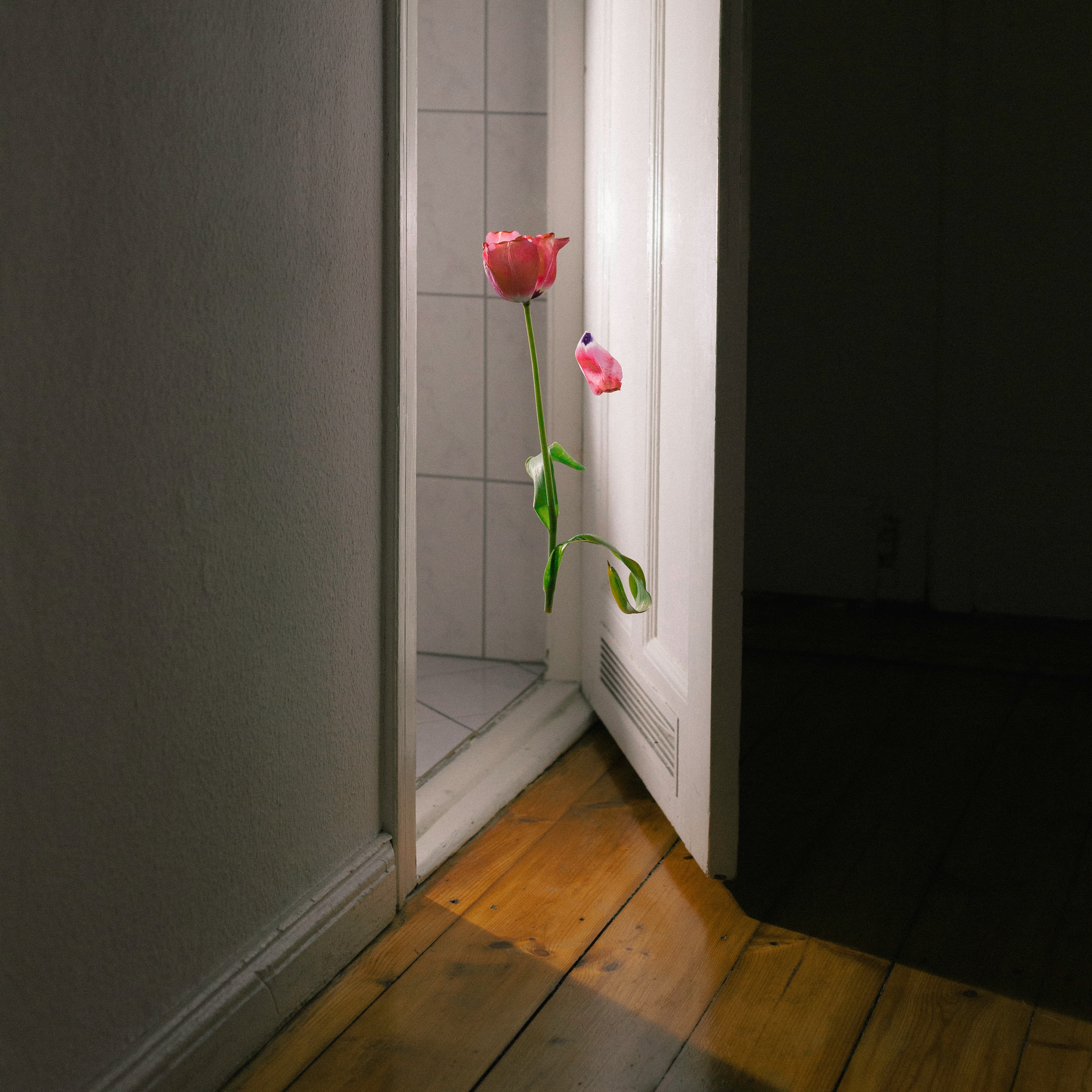 Blurred release artwork background