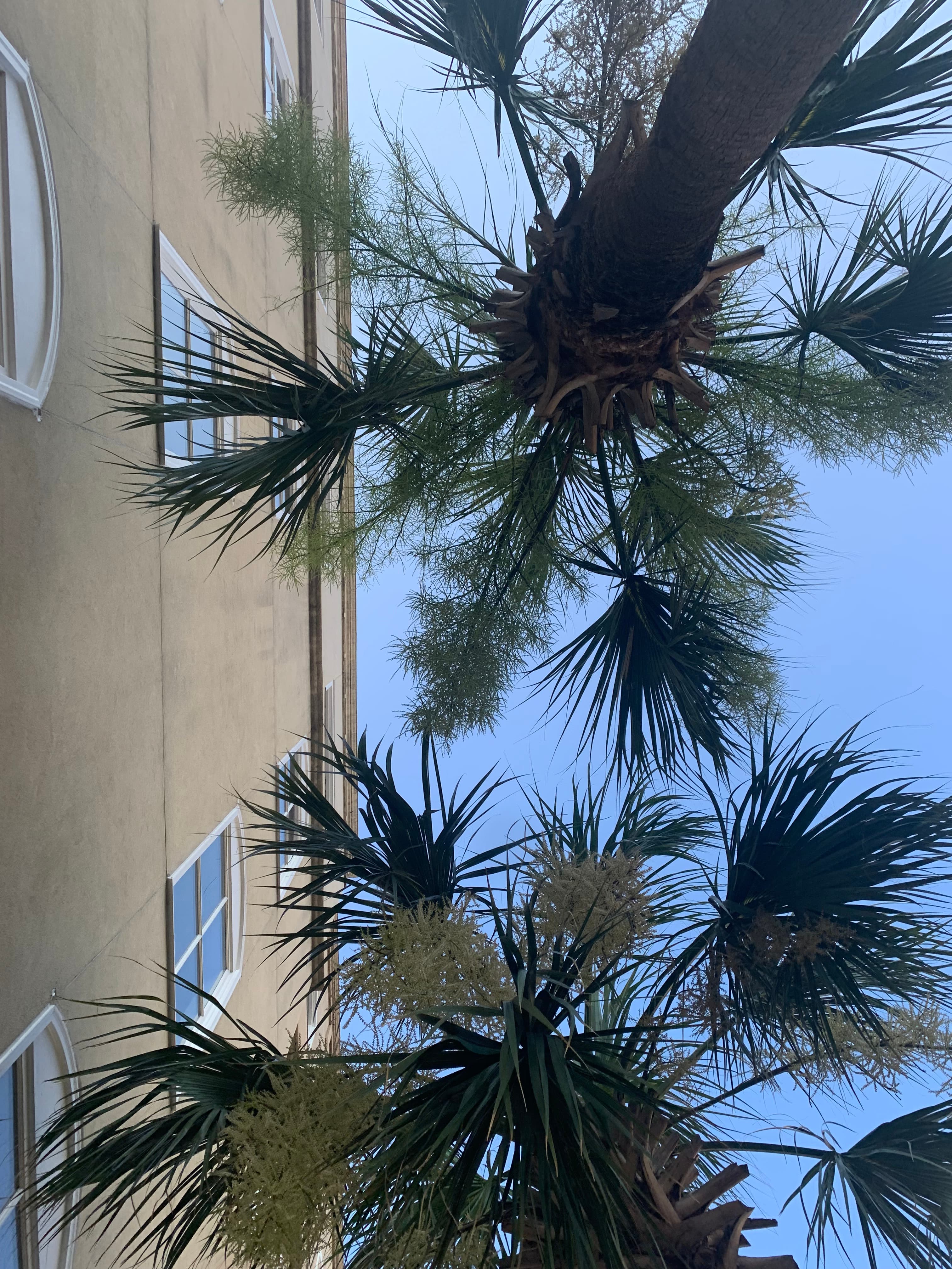 Blurred release artwork background