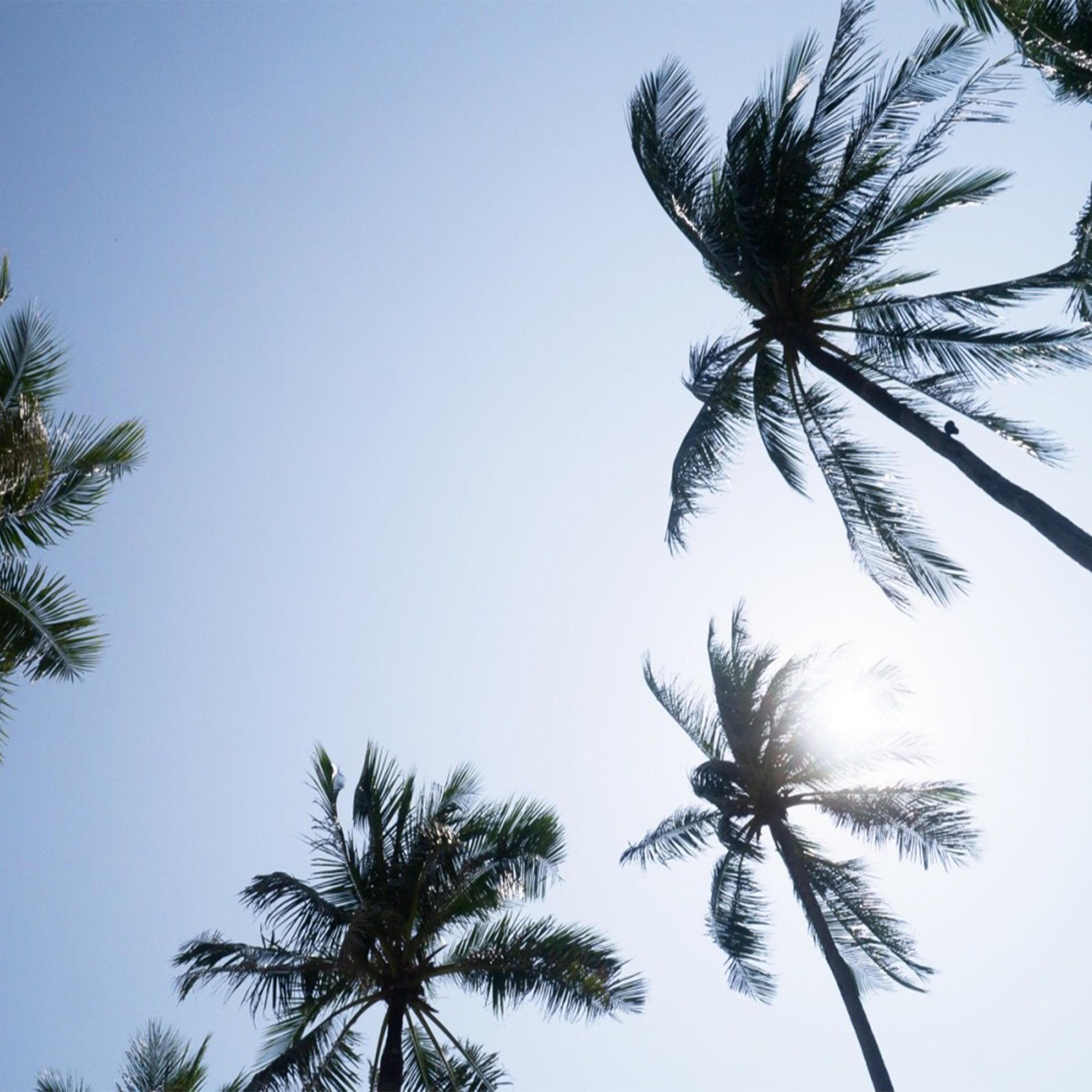 Blurred release artwork background