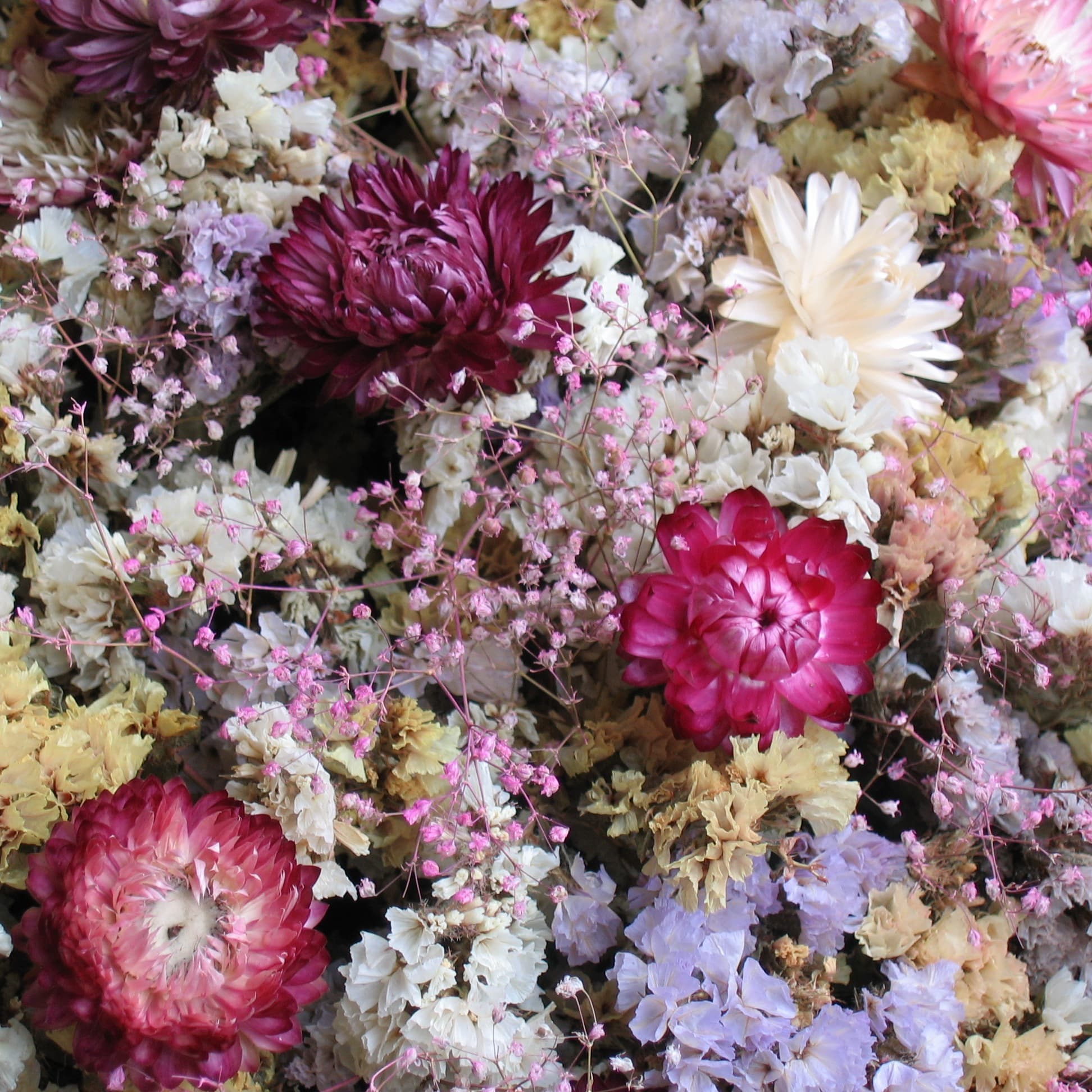 Blurred release artwork background