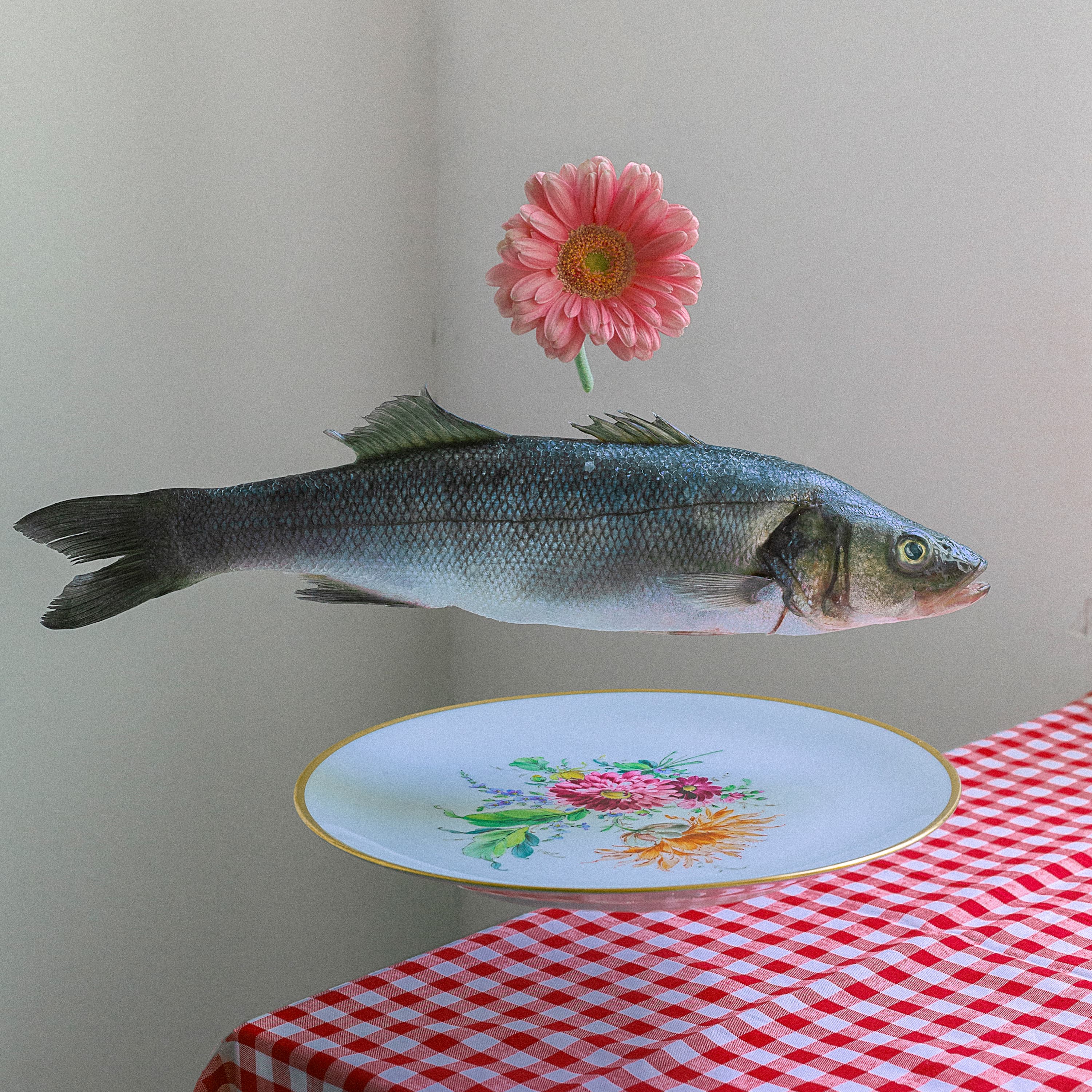 Blurred release artwork background