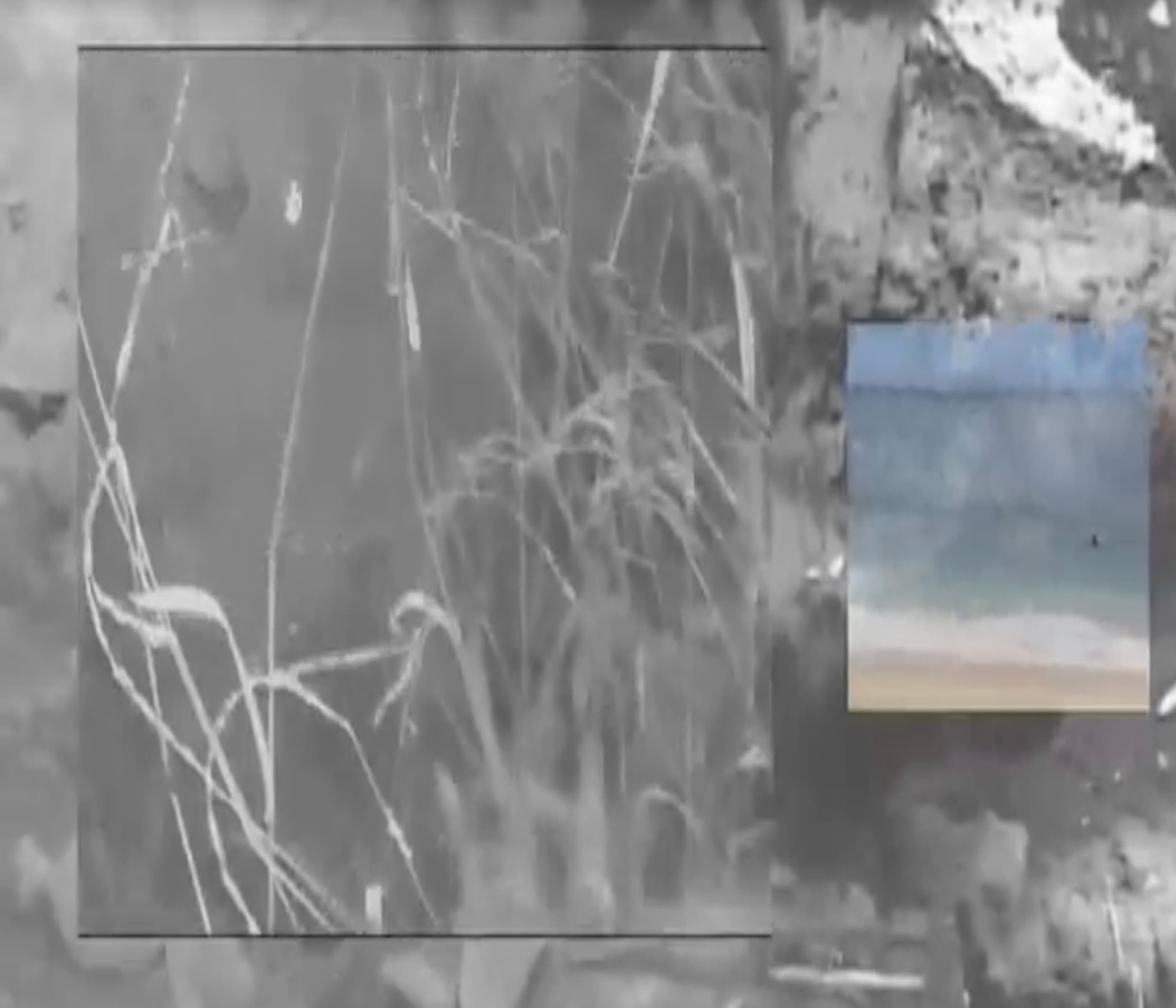 Blurred release artwork background