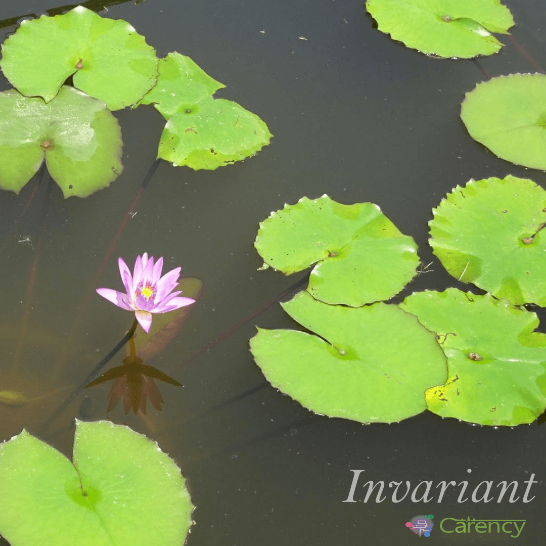 Blurred release artwork background