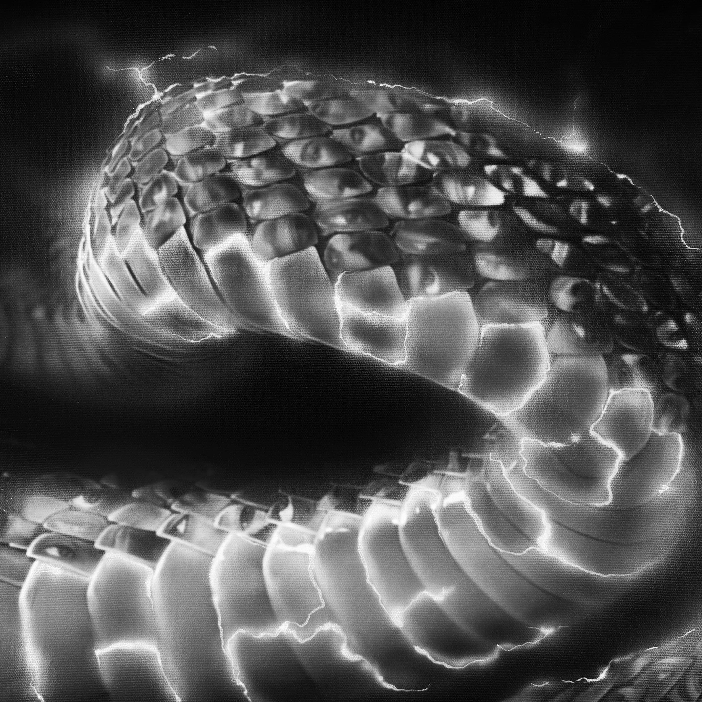 Blurred release artwork background