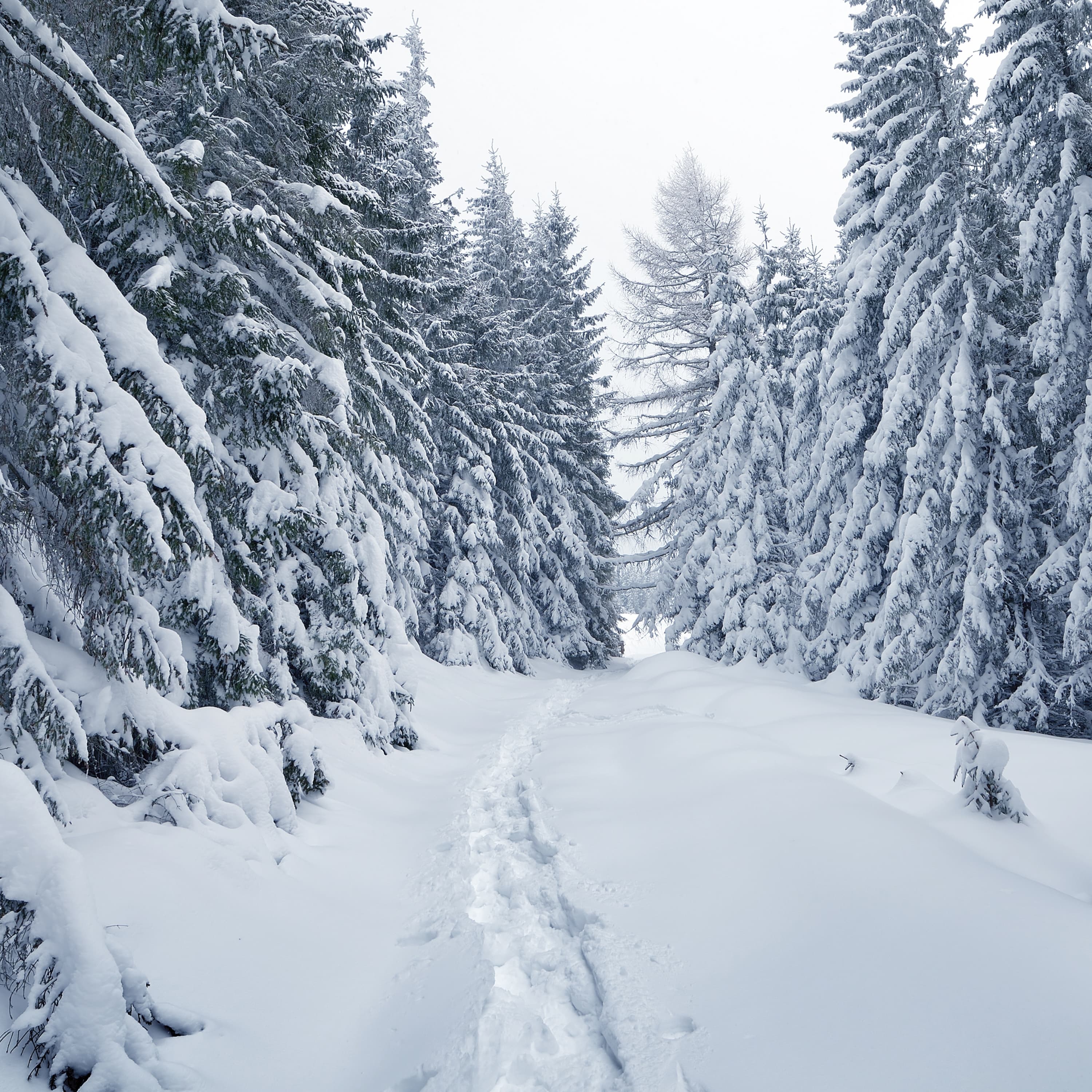 Blurred release artwork background