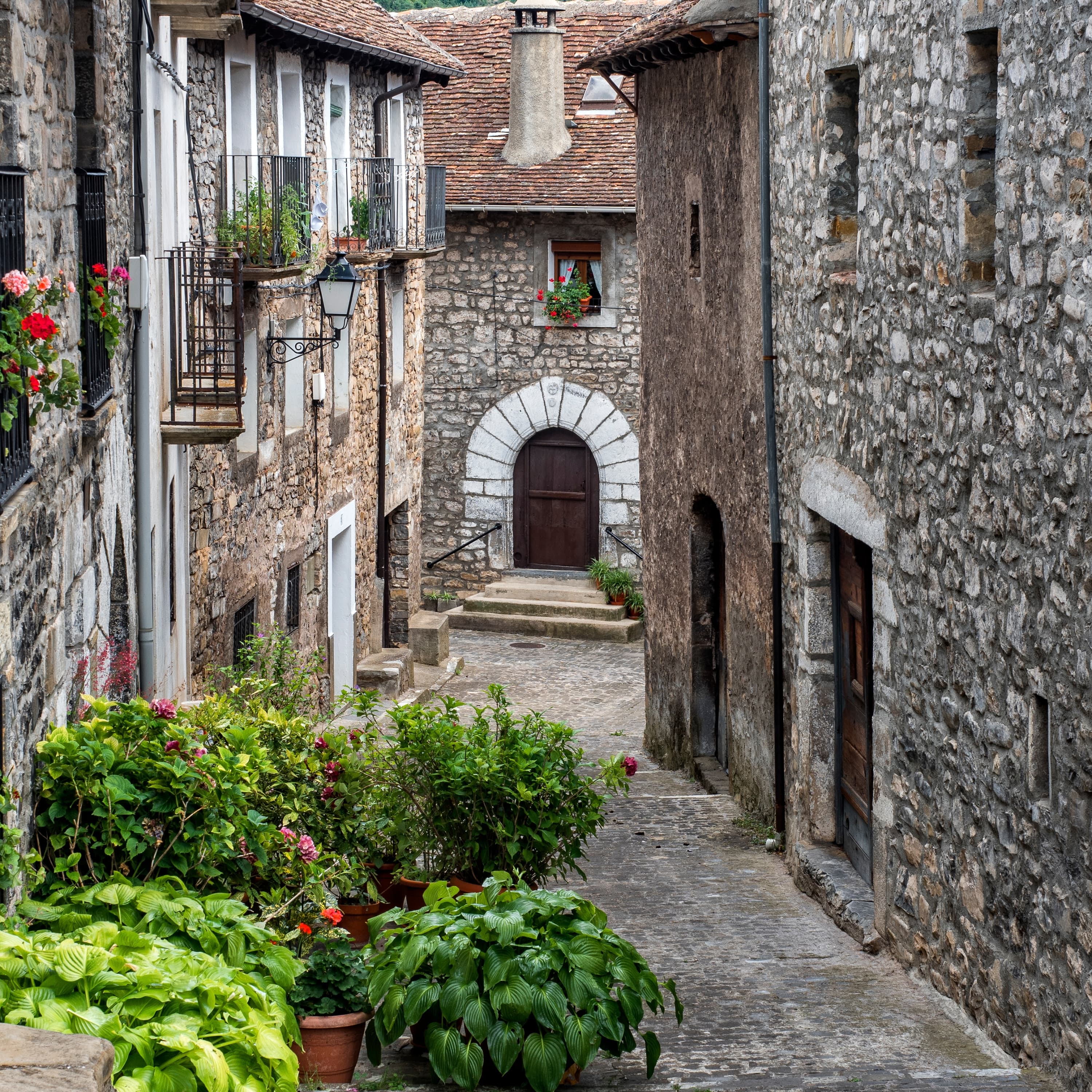 Blurred release artwork background