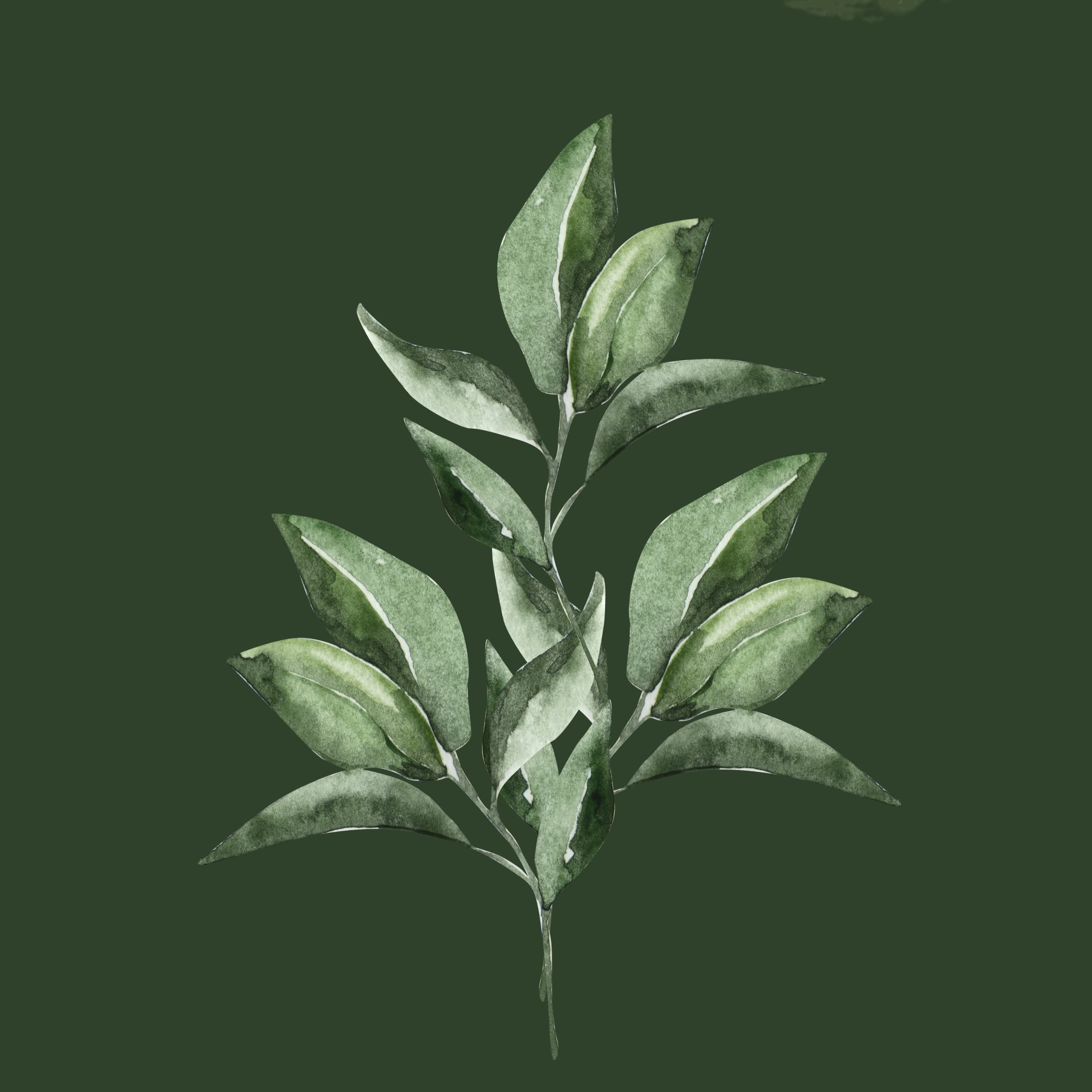 Blurred release artwork background