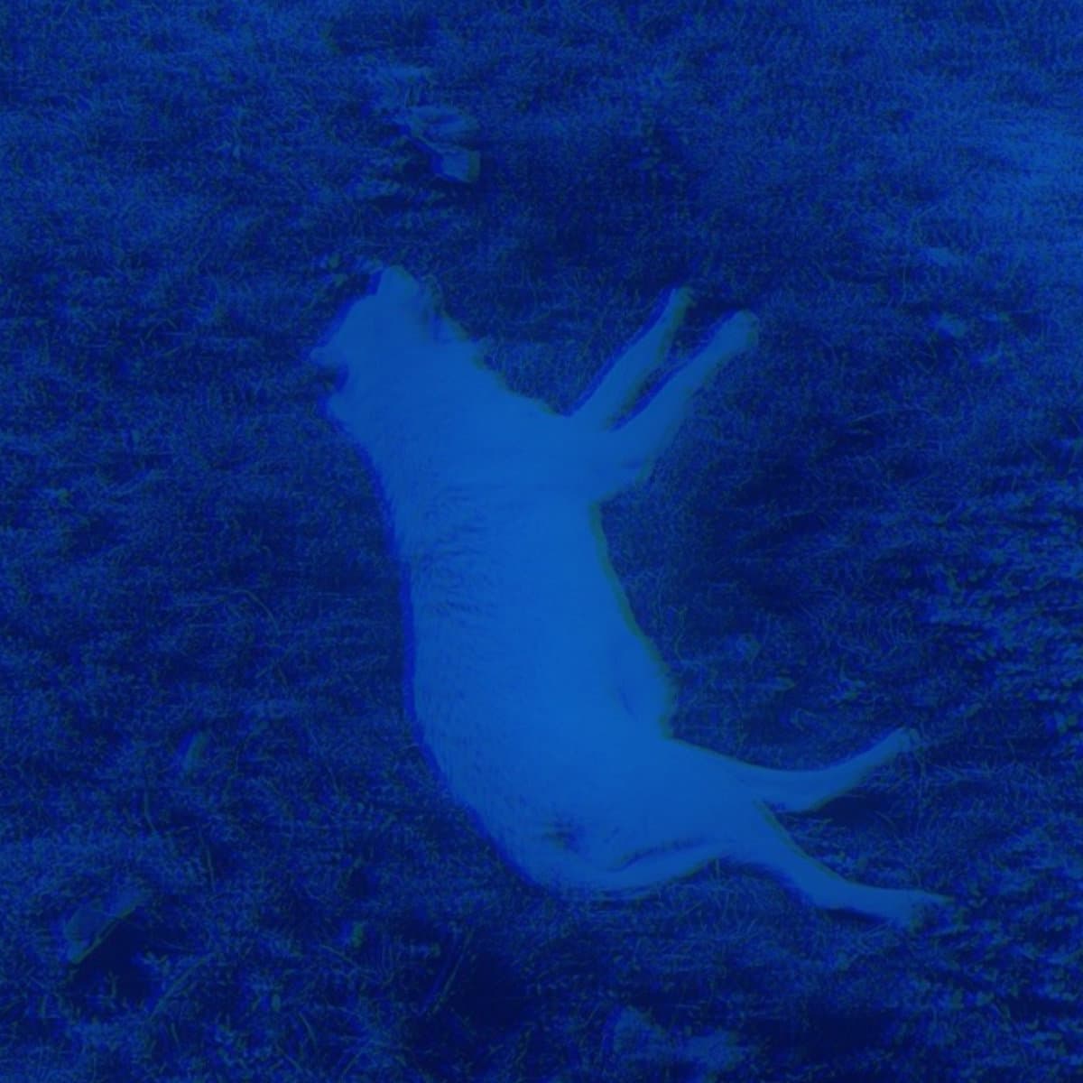 Blurred release artwork background