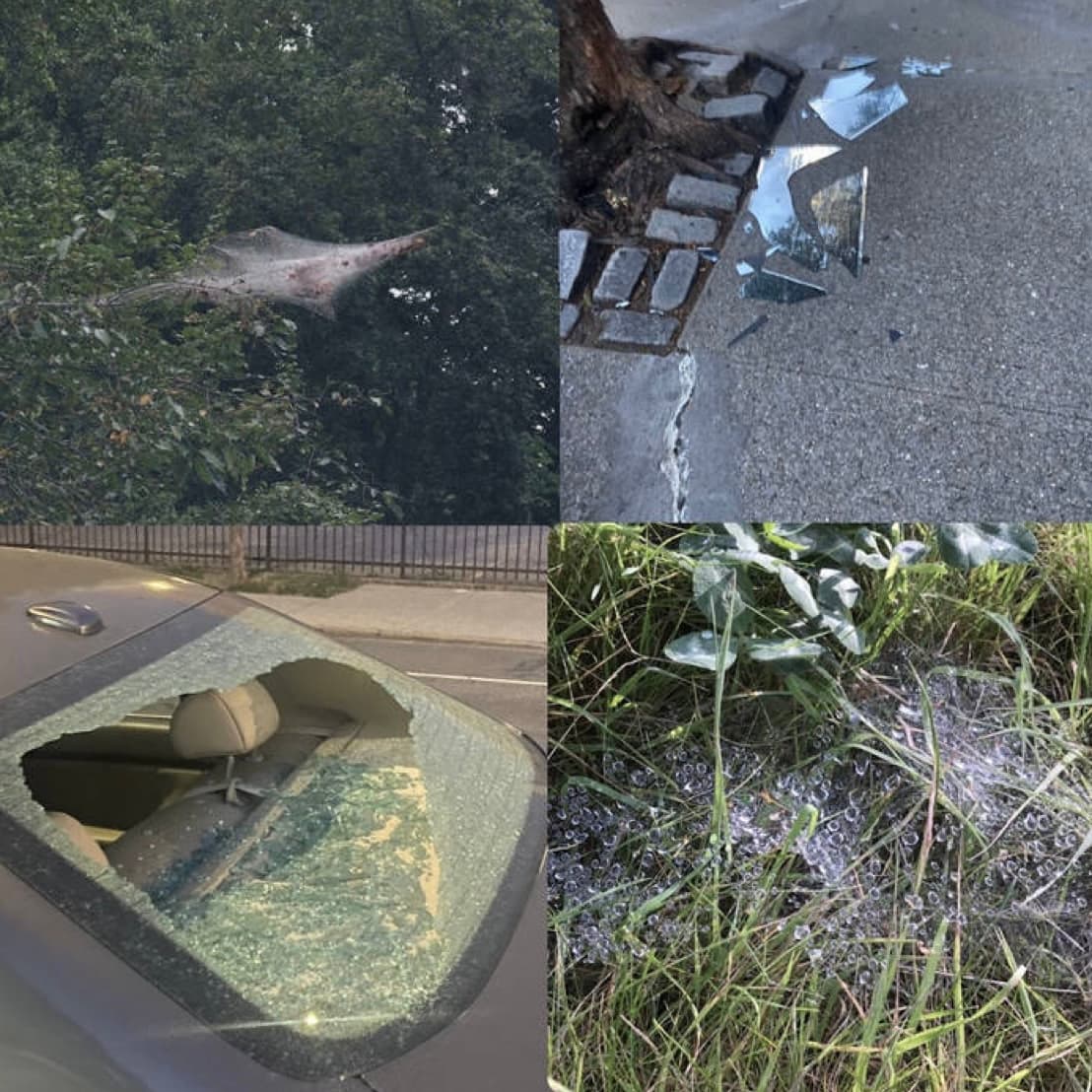 Blurred release artwork background