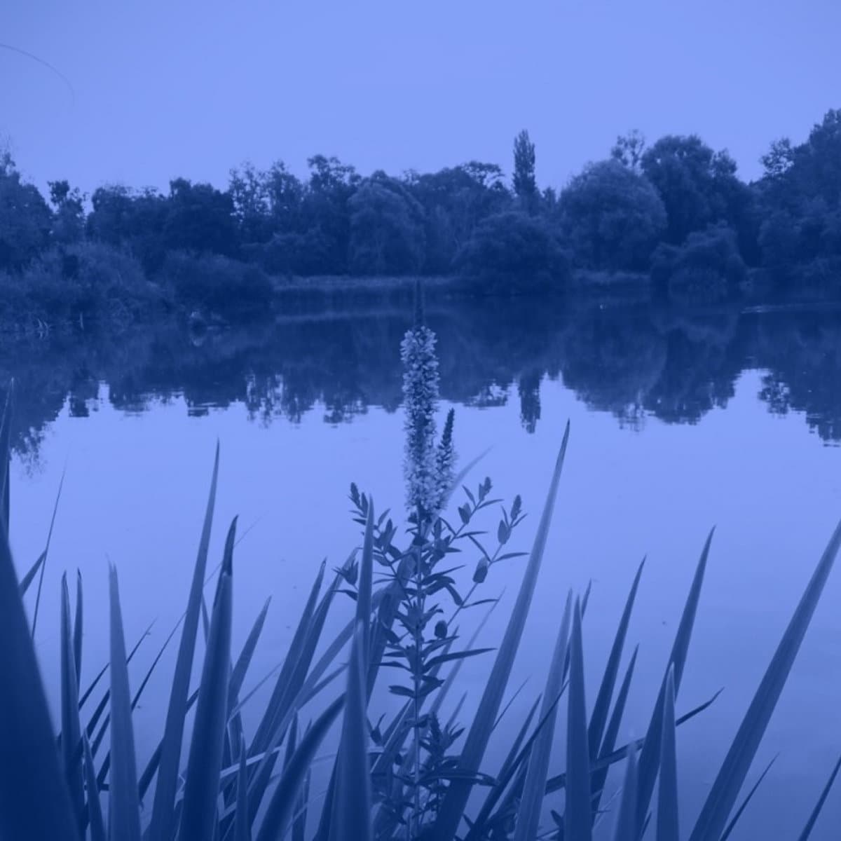 Blurred release artwork background