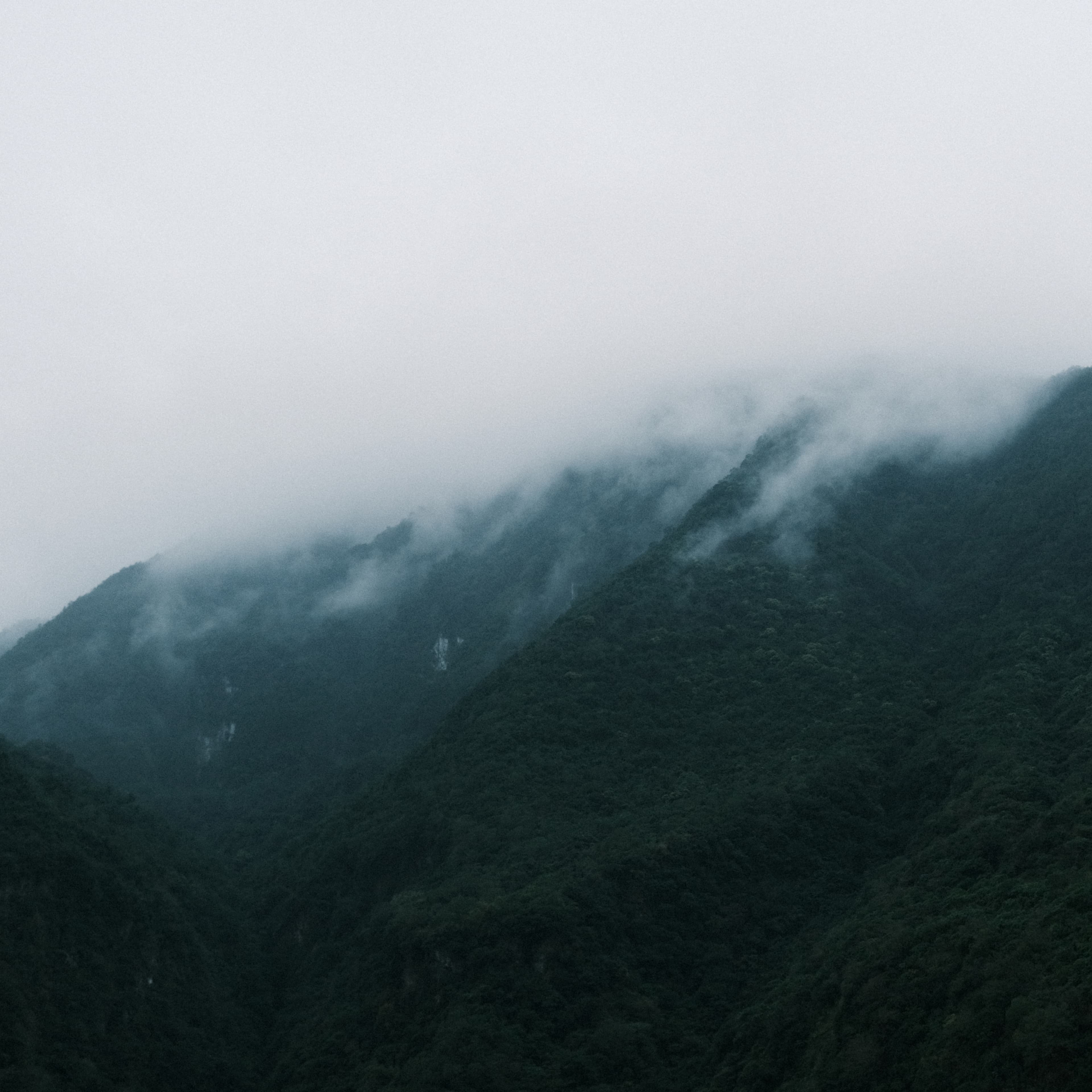 Blurred release artwork background