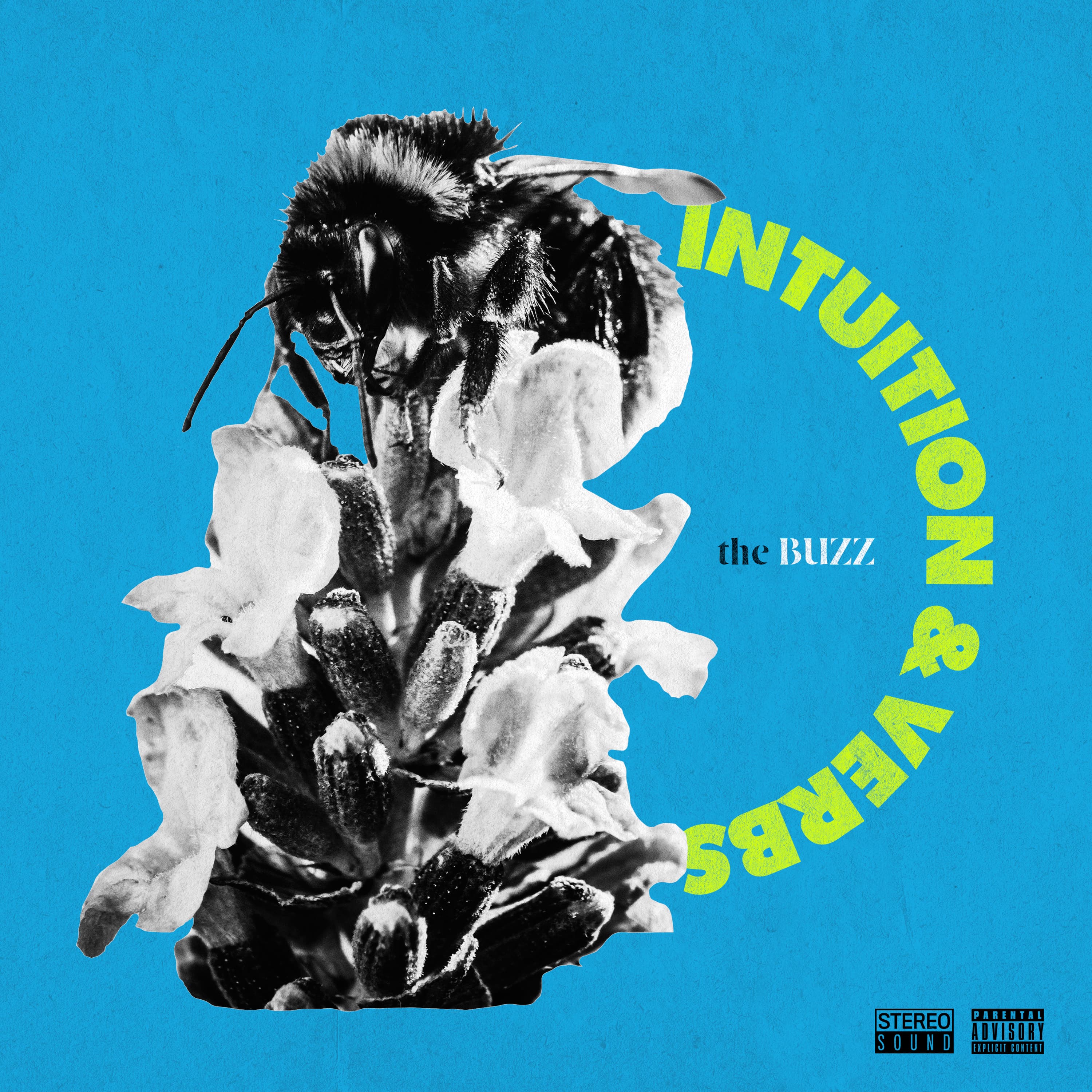 Blurred release artwork background