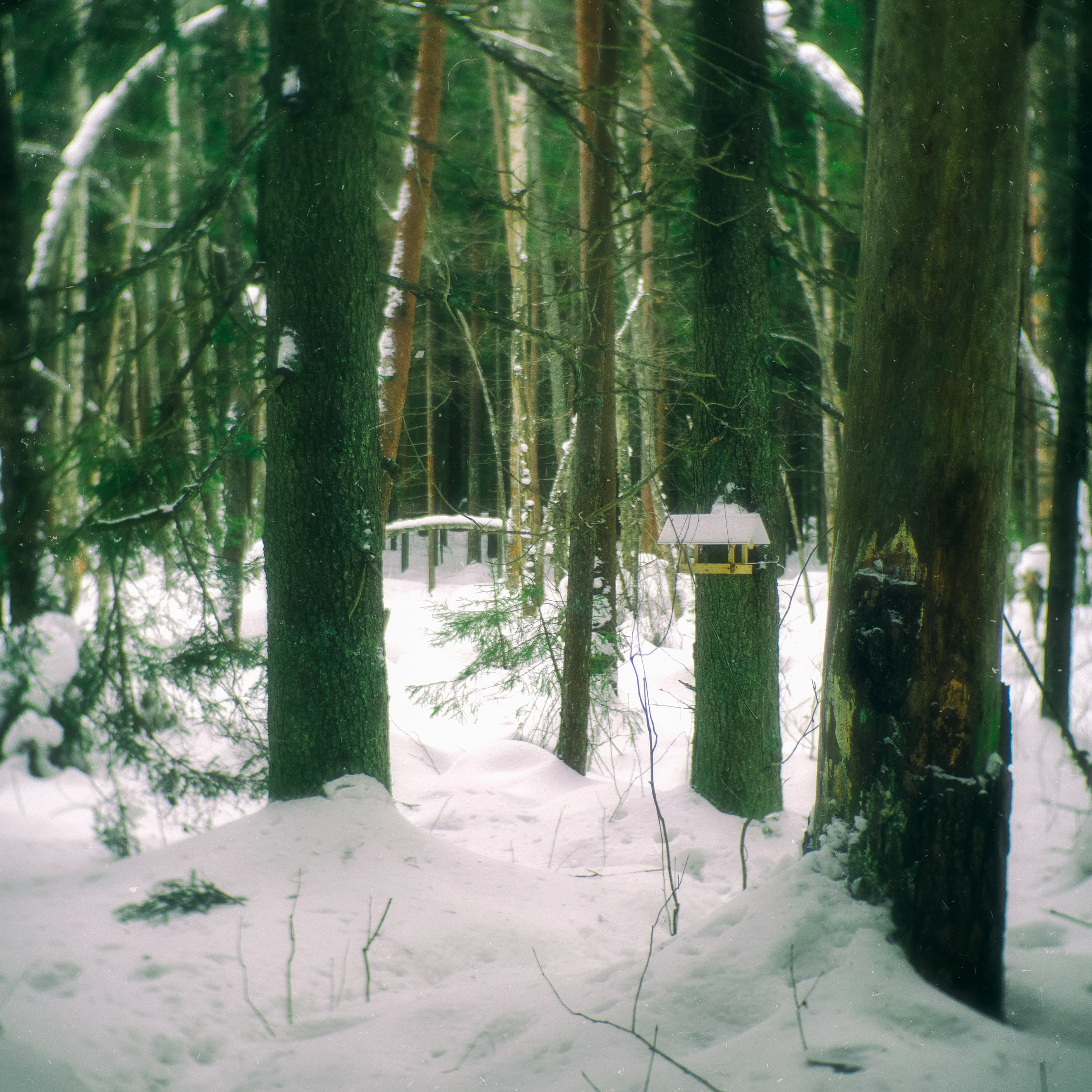 Blurred release artwork background