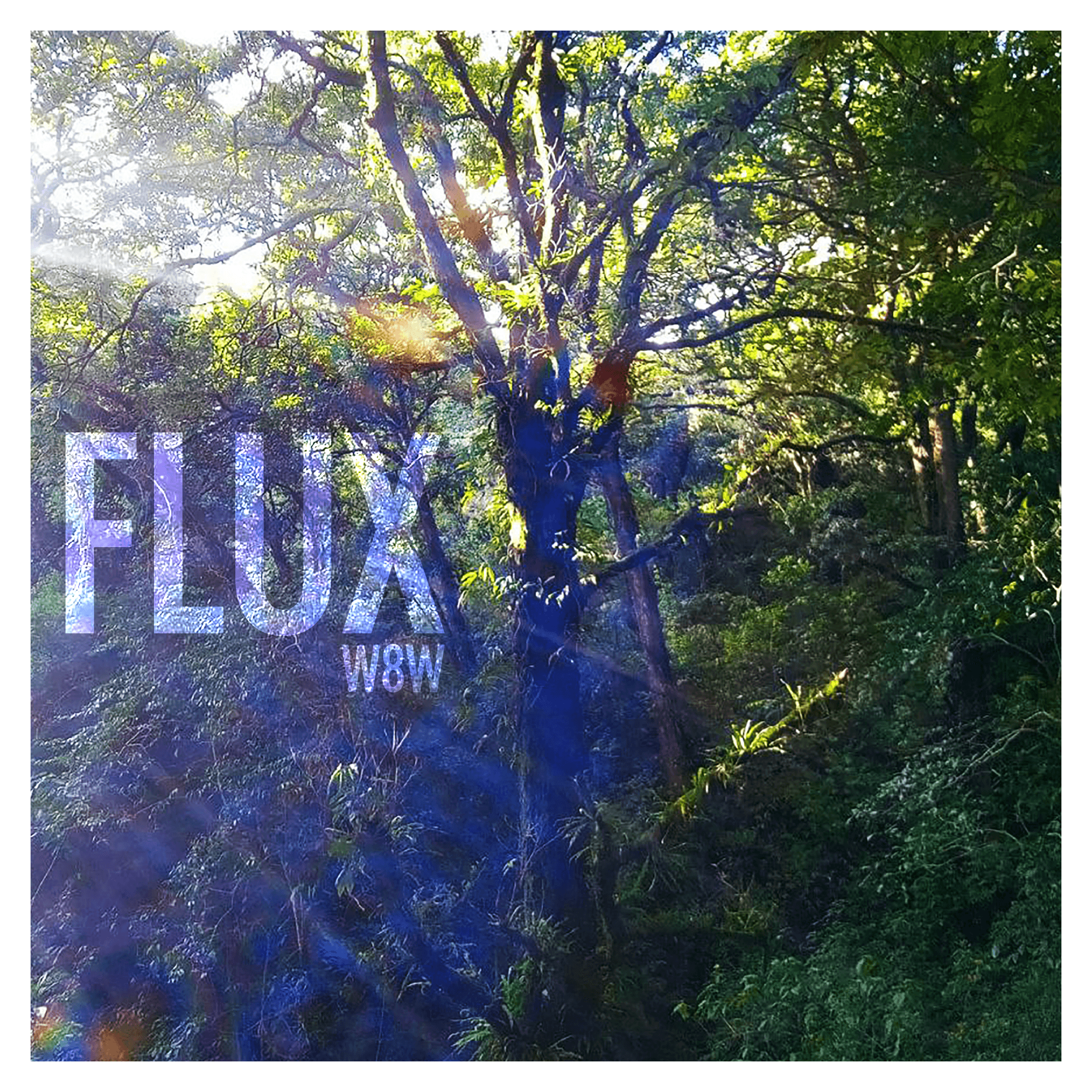 Blurred release artwork background