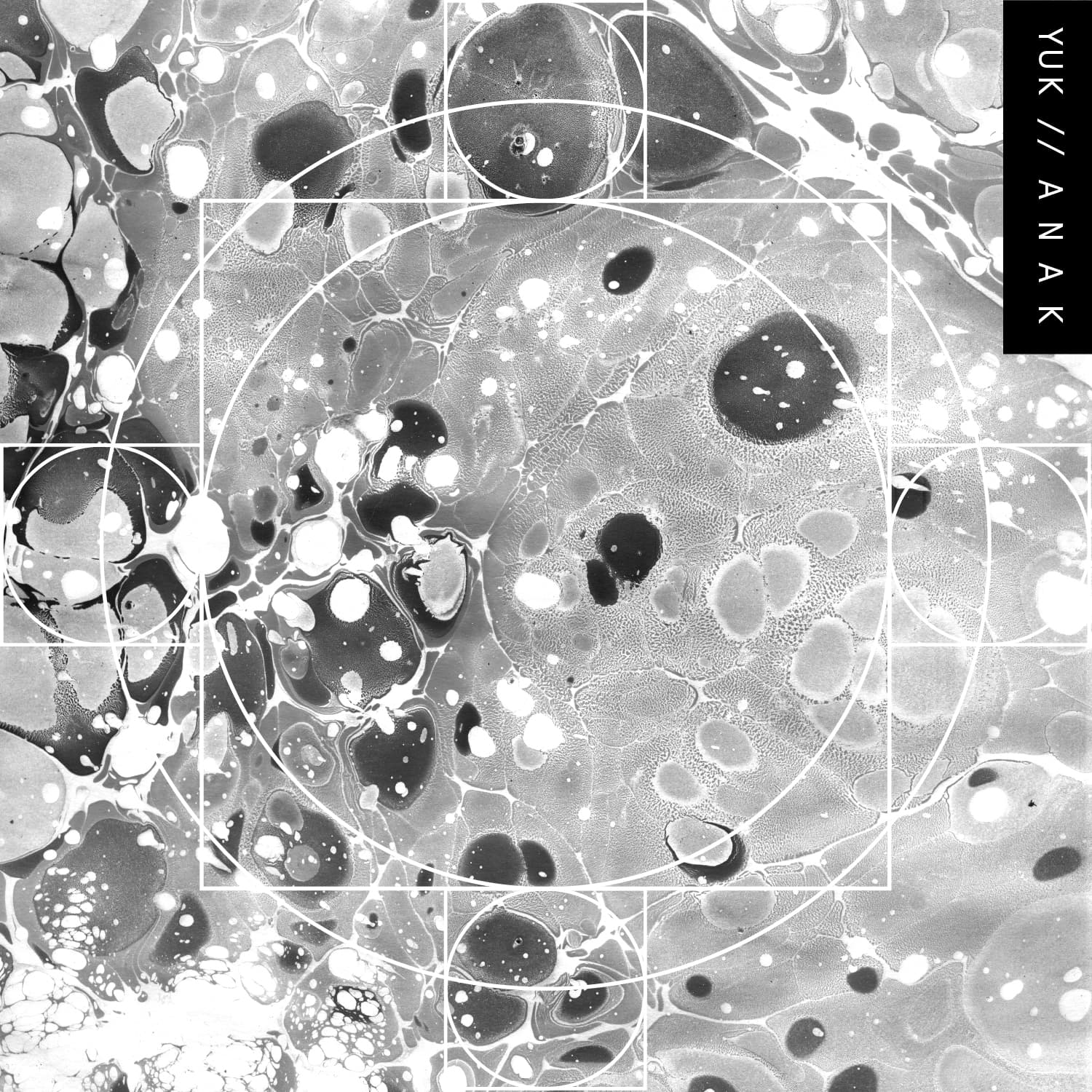 Blurred release artwork background